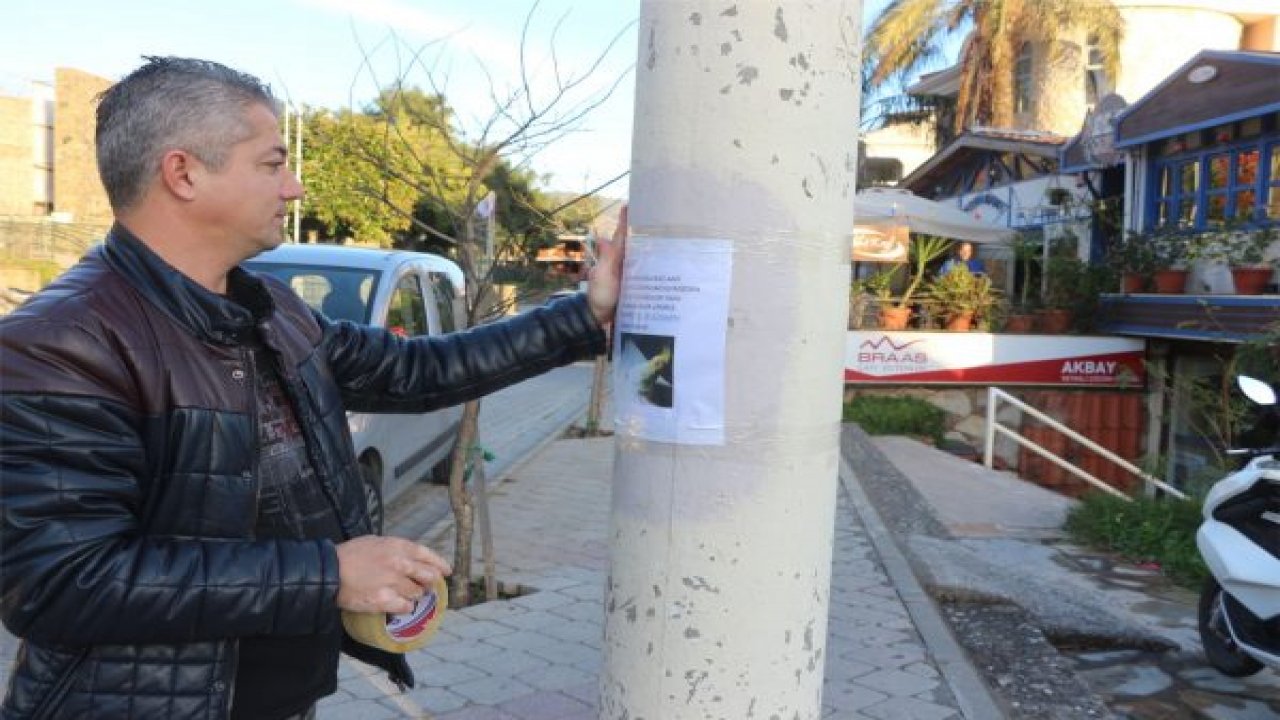 Papağanını arıyor