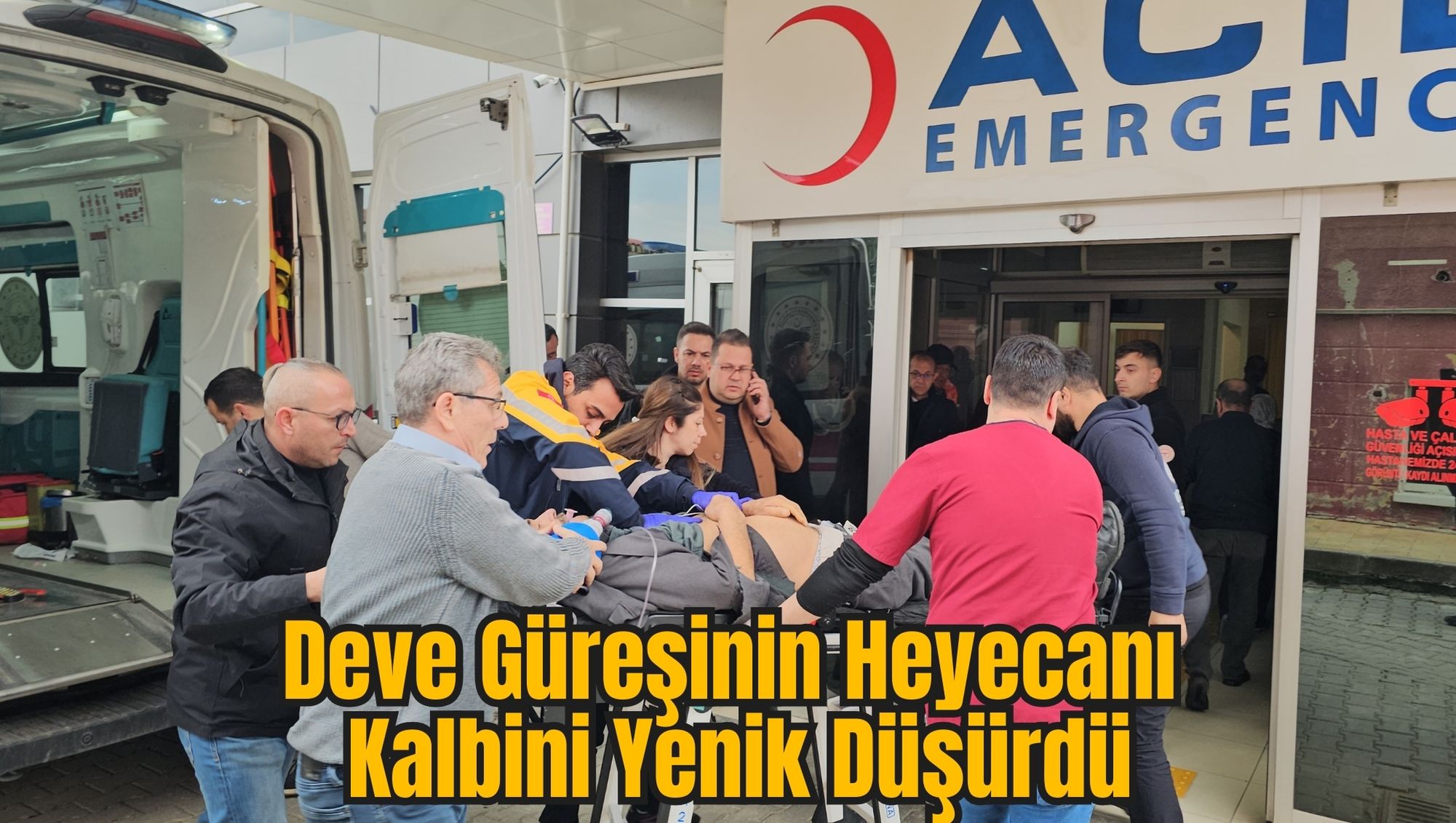 Deve Güreşinin Heyecanı Kalbini Yenik Düşürdü