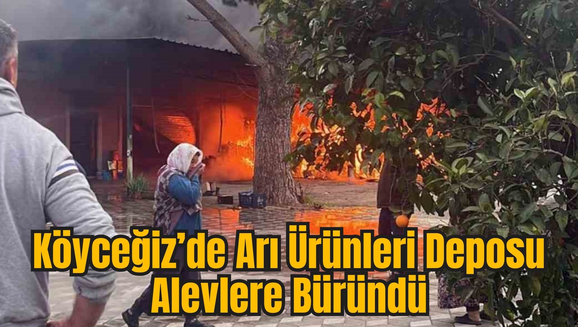 Köyceğiz’de Arı Ürünleri Deposu Alevlere Büründü