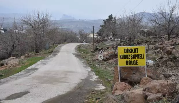 Kuduz Alarmı :3 Kişiyi Isıran Köpek Kuduz Çıktı,Köy Karantina Altında