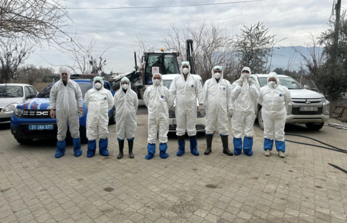 Kuş Gribi Nedeniyle 338 Hayvan İtlaf Edildi, Mahalle Karantinaya Alındı