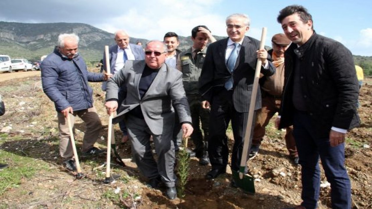Afrin şehitleri anısına yeniden ağaçlandırıldı