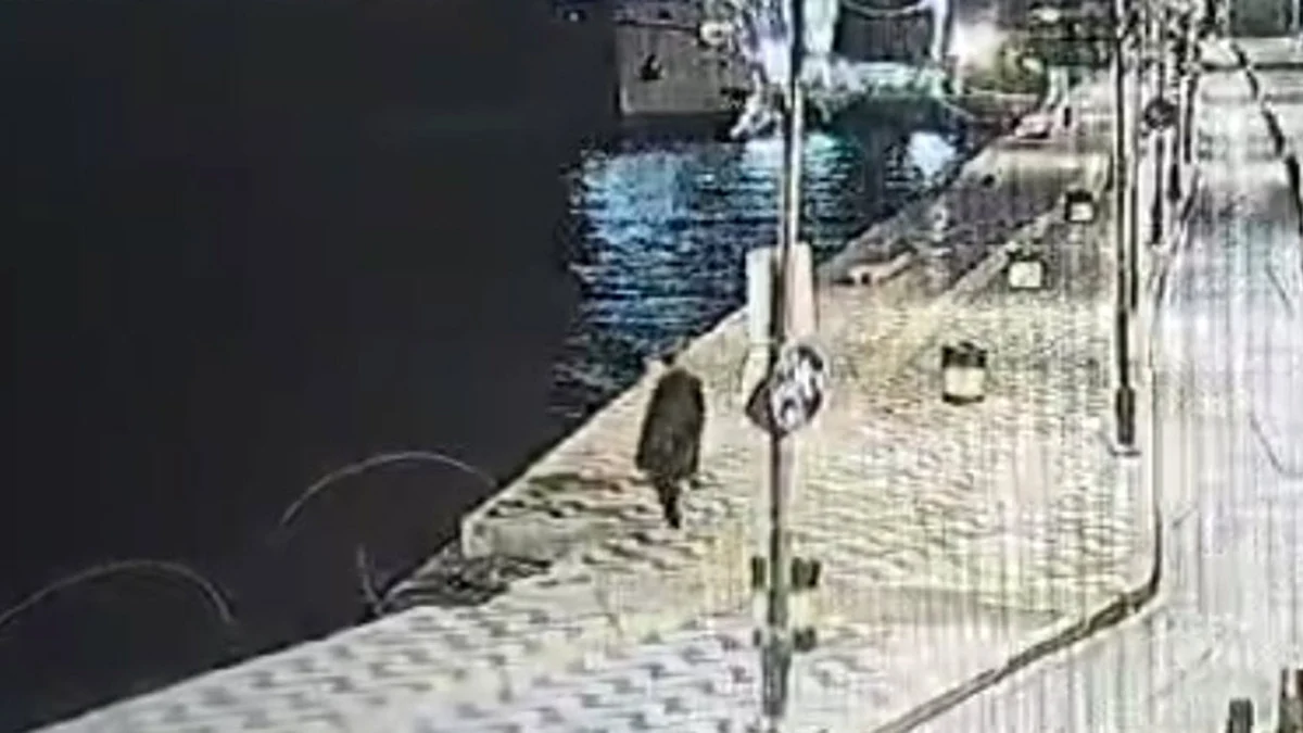 Alkollü Adam Denize Düşüp Hayatını Kaybetti