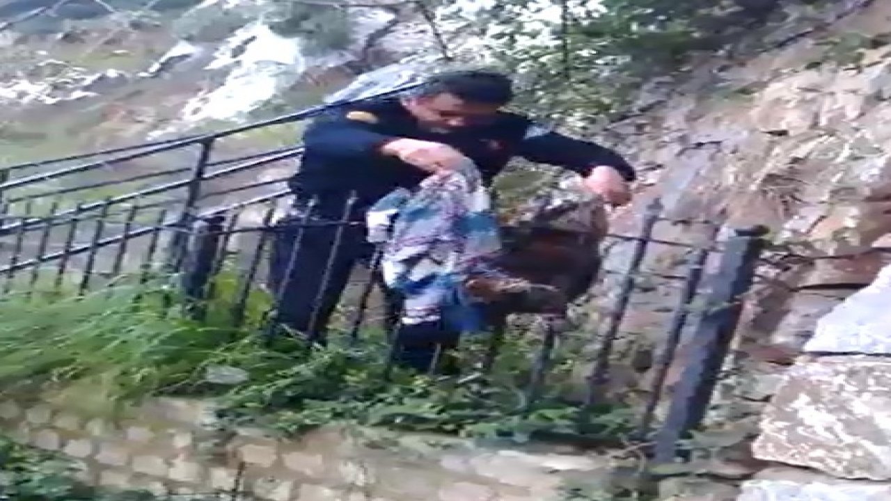 Yaralı kedinin yardımına itfaiye ekipleri koştu