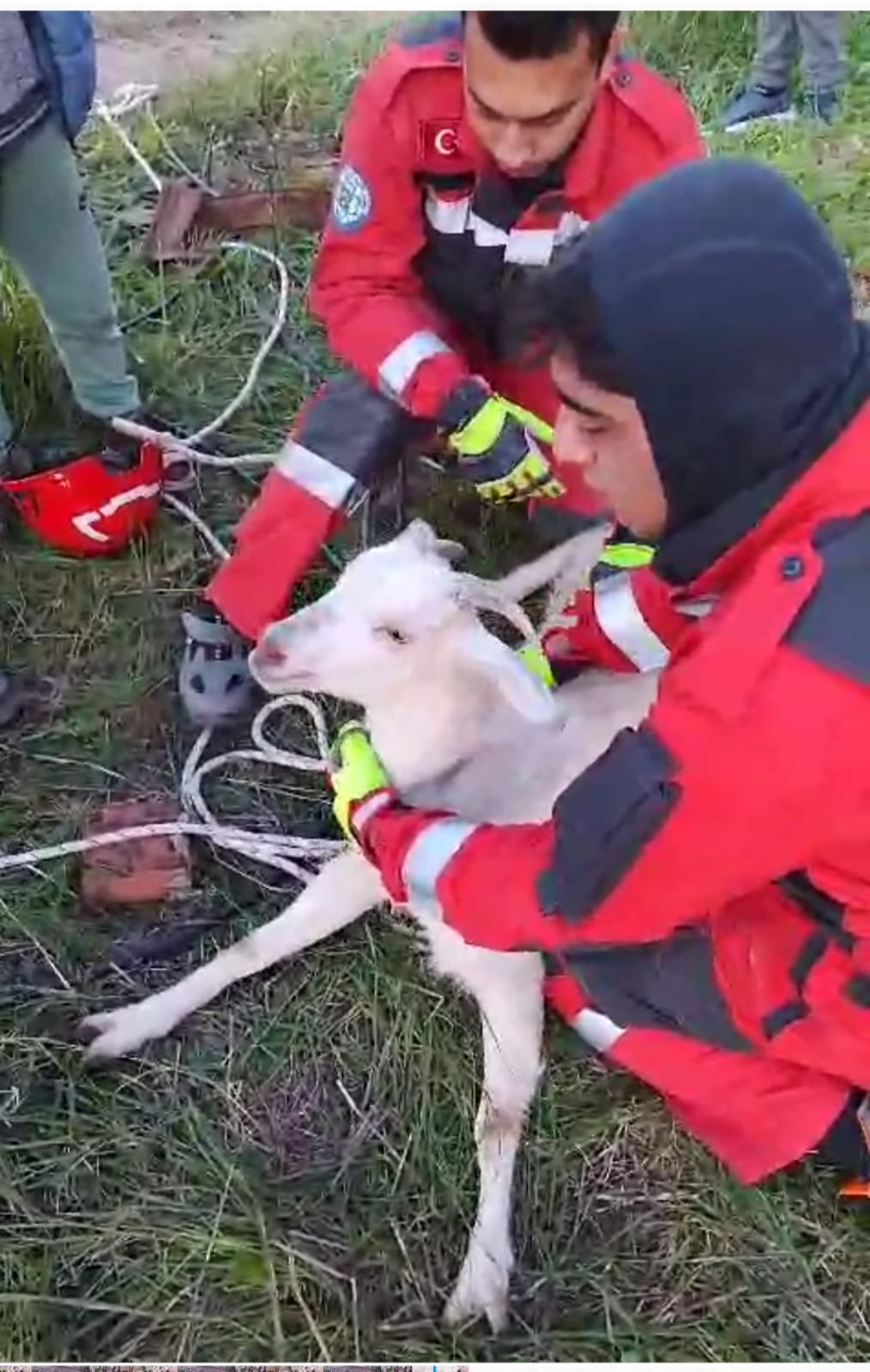 Datça'da 10 Metre Derinliğindeki Kuyudan Keçi Kurtarıldı