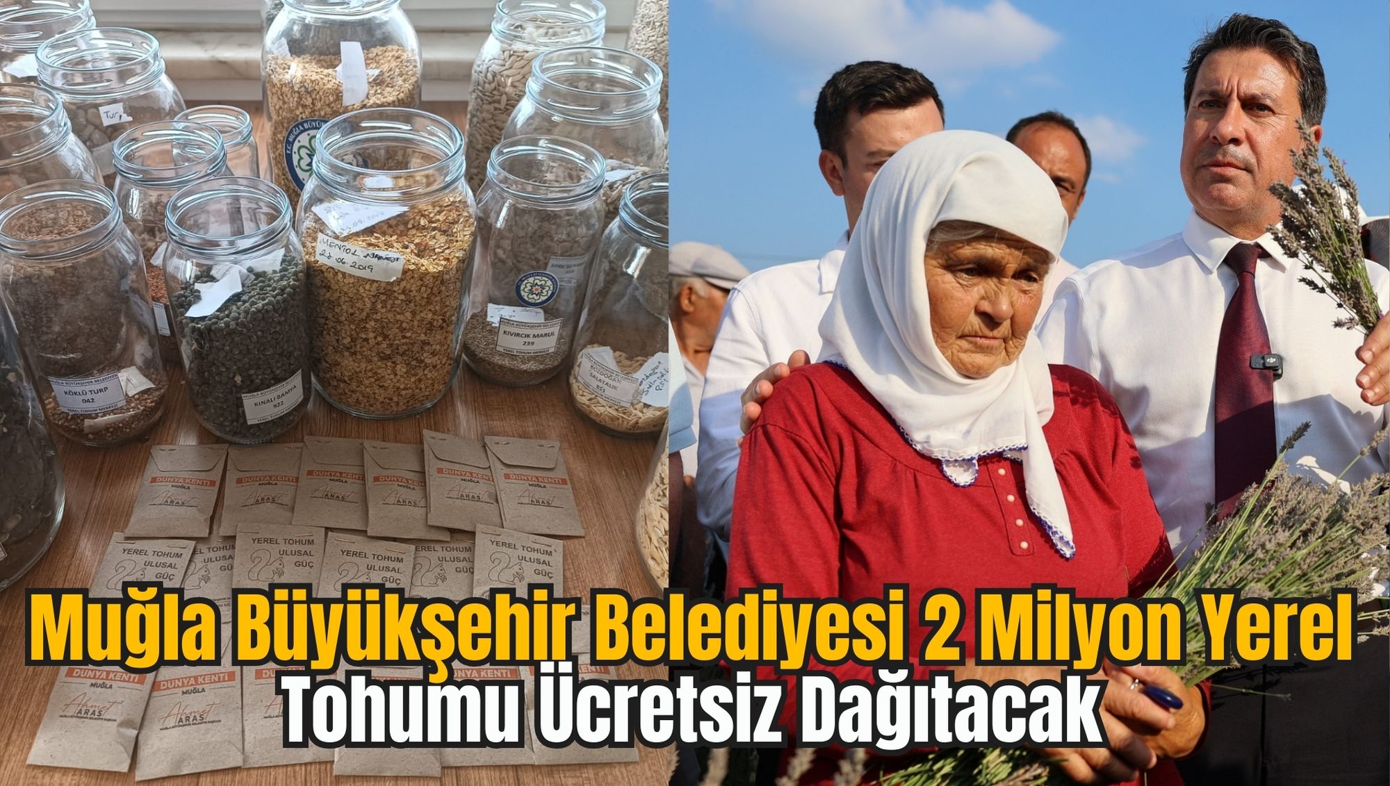 Muğla Büyükşehir Belediyesi 2 Milyon Yerel Tohumu Ücretsiz Dağıtacak