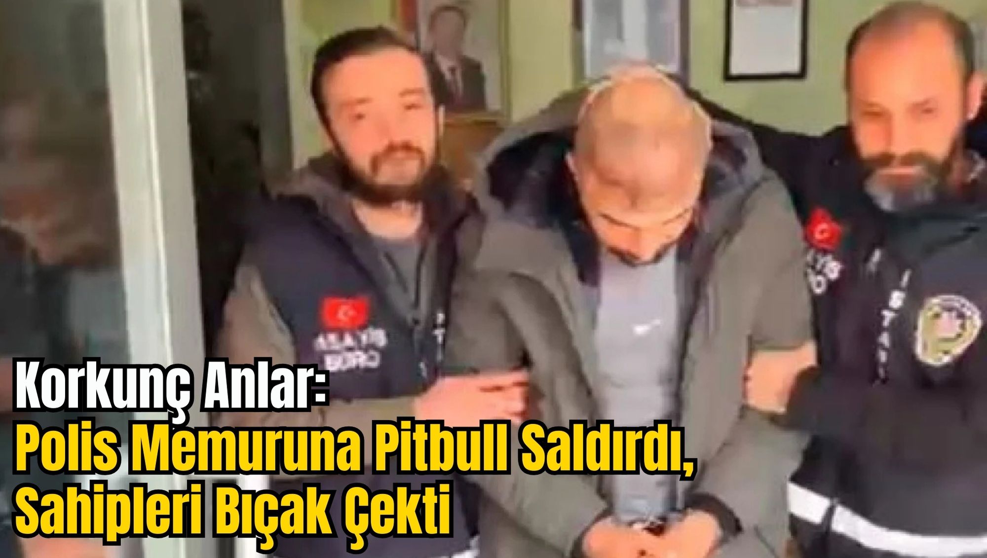 Korkunç Anlar: Polis Memuruna Pitbull Saldırdı, Sahipleri Bıçak Çekti