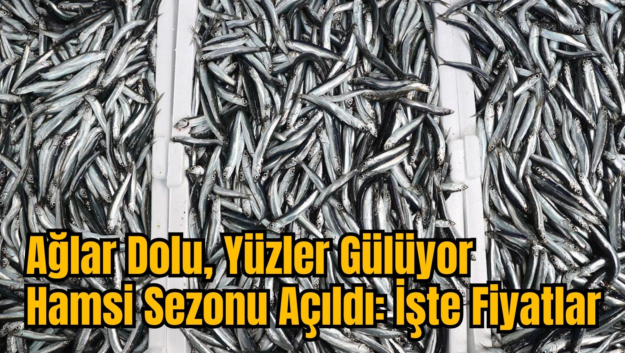 Ağlar Dolu, Yüzler Gülüyor: Hamsi Sezonu Açıldı, İşte Fiyatlar