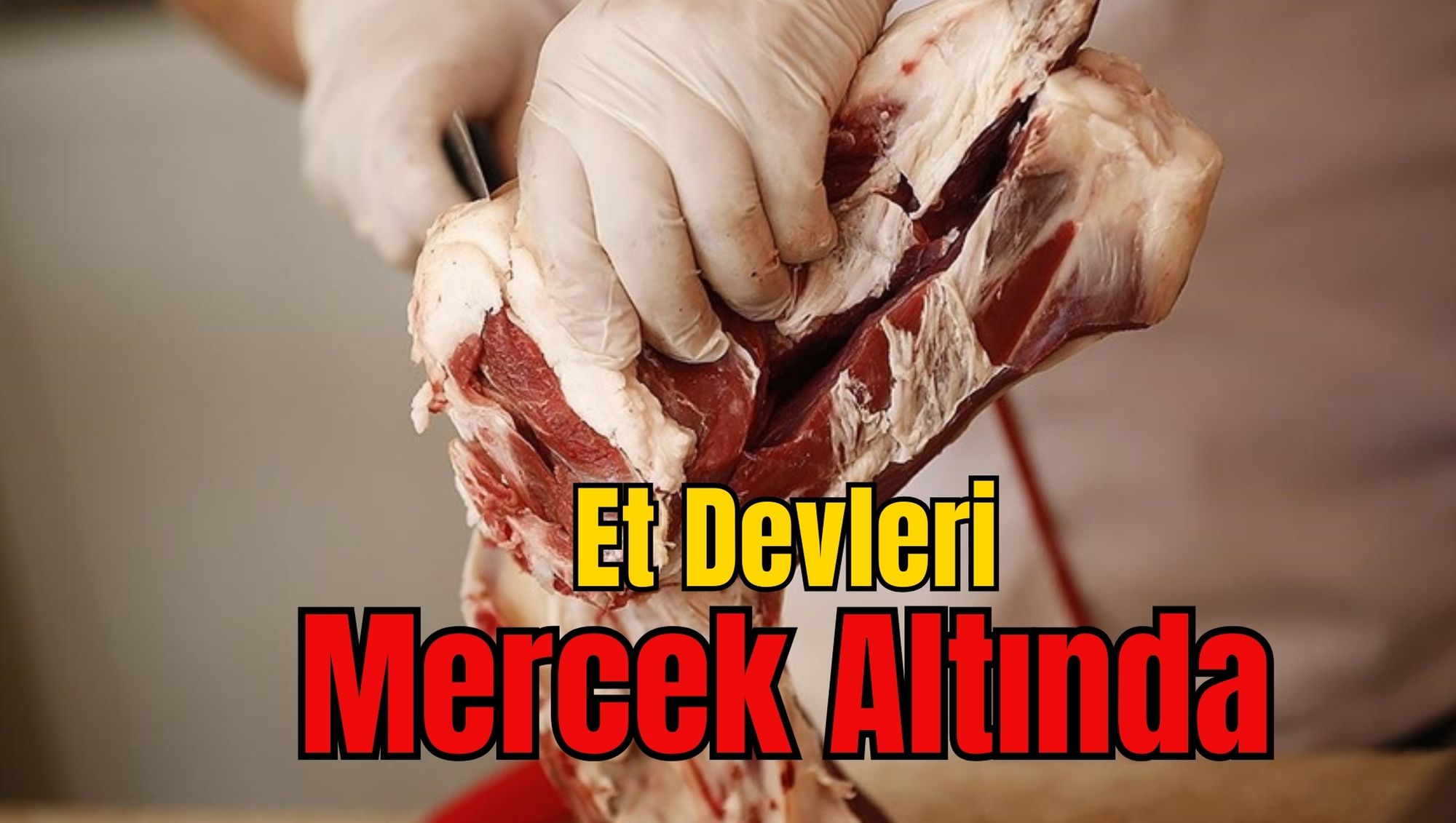 Et Devleri Mercek Altında