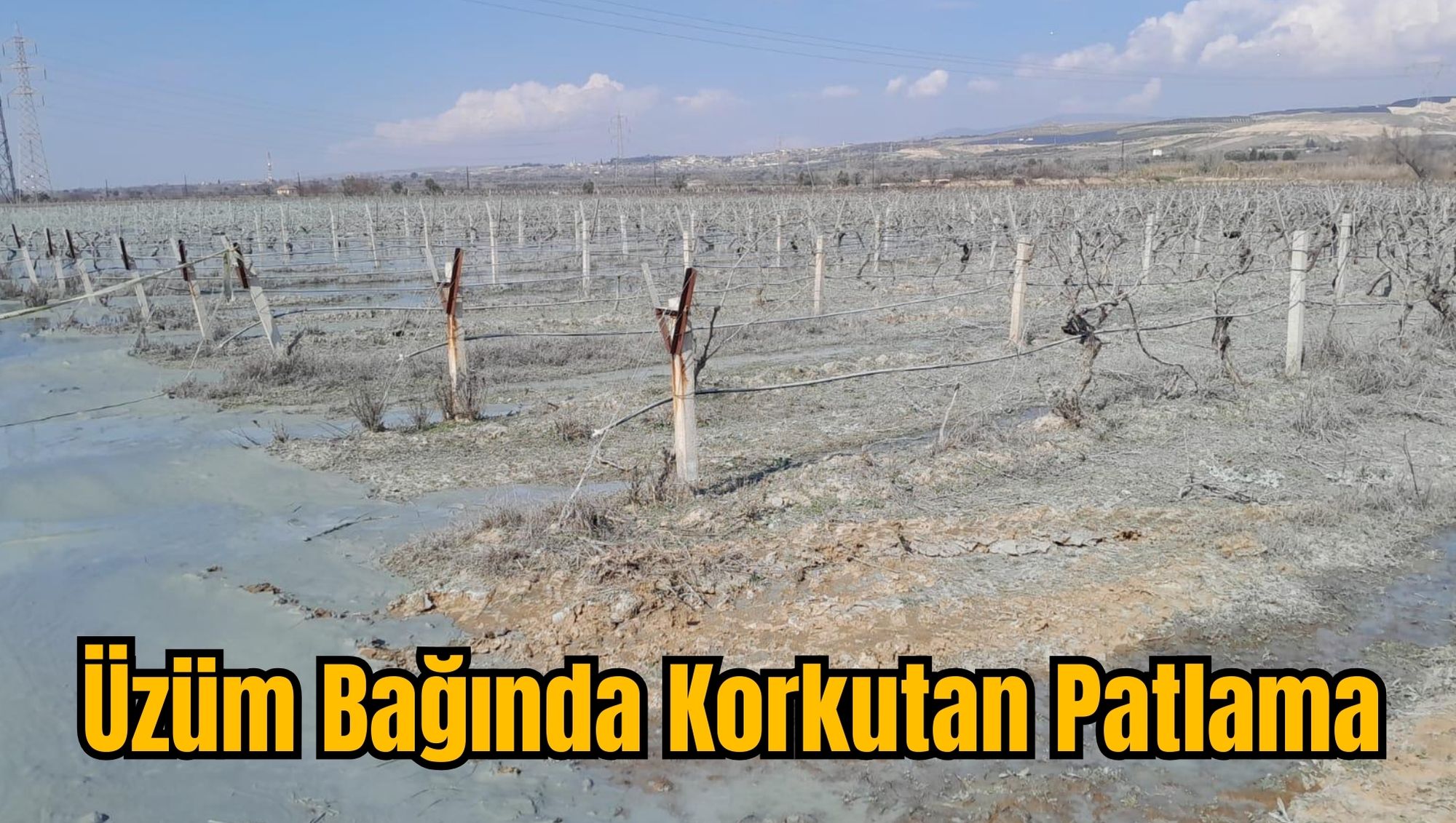 Üzüm Bağında Korkutan Patlama