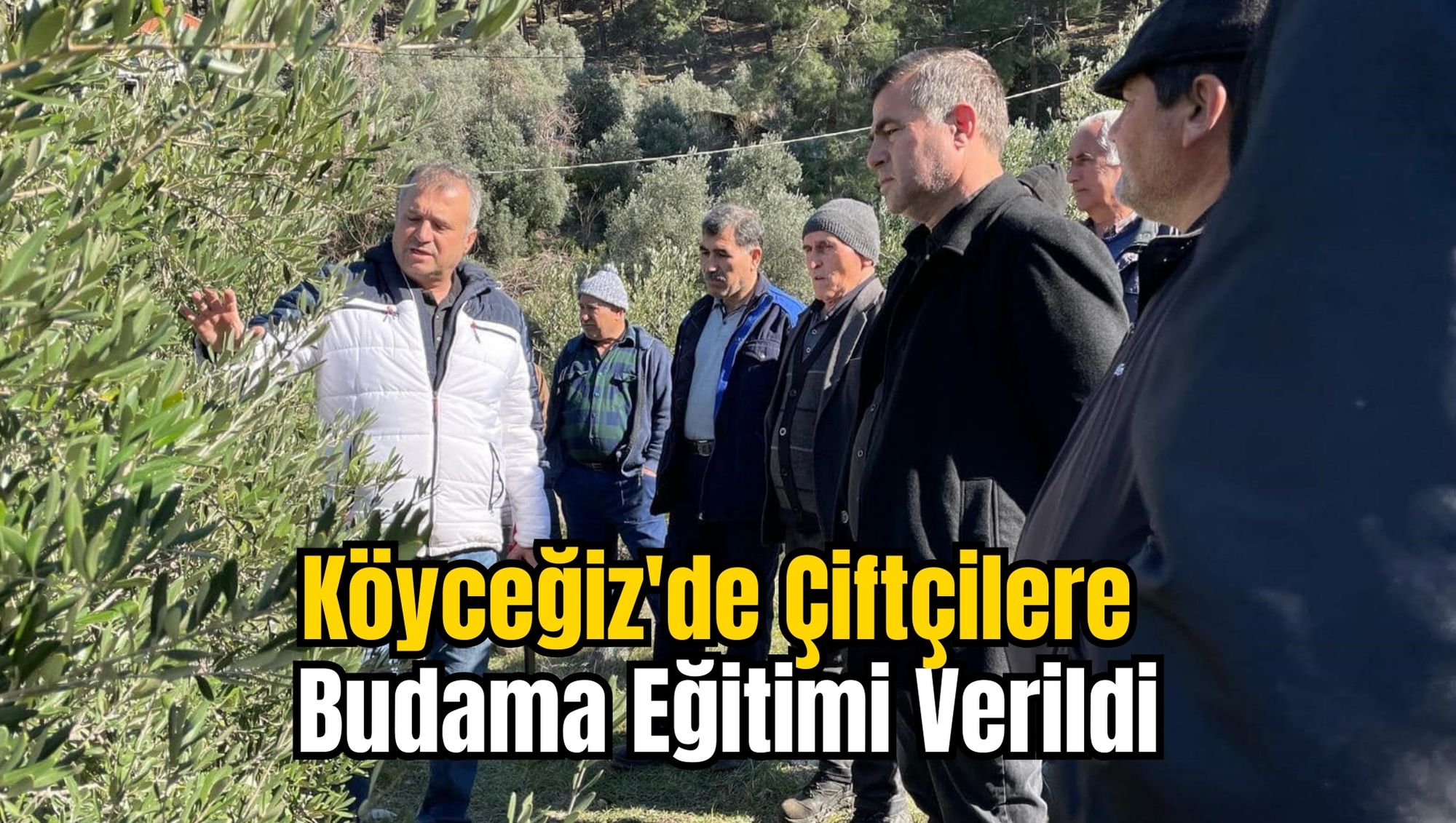 Köyceğiz'de Çiftçilere Budama Eğitimi Verildi