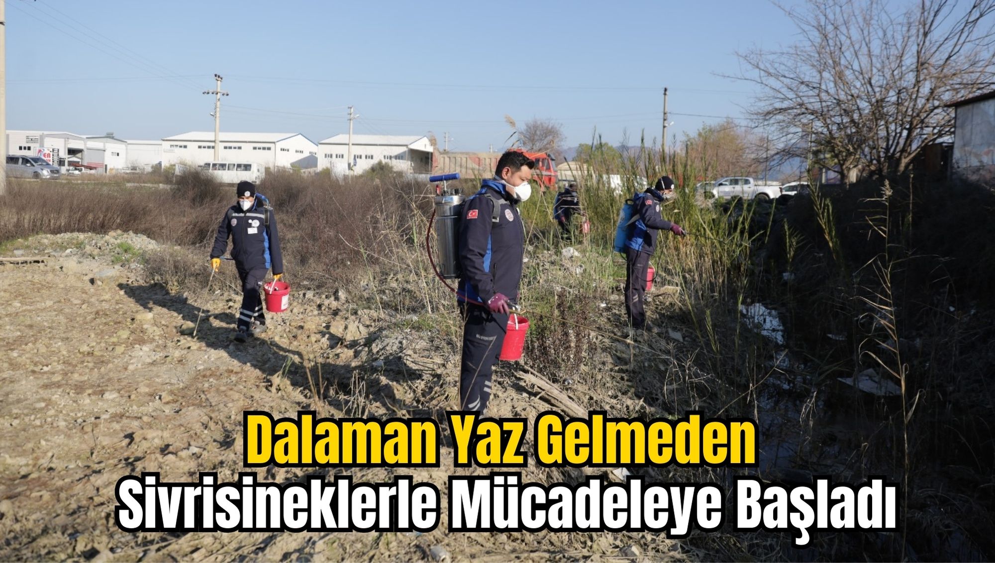 Dalaman Yaz Gelmeden Sivrisineklerle Mücadeleye Başladı