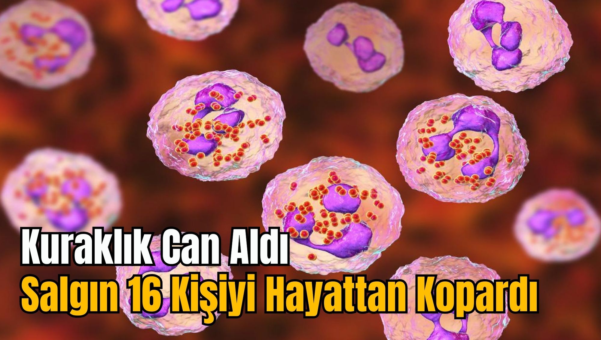Kuraklık Can Aldı: Salgın 16 Kişiyi Hayattan Kopardı