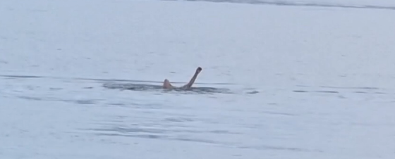 Datça'da yağmurda deniz keyfi