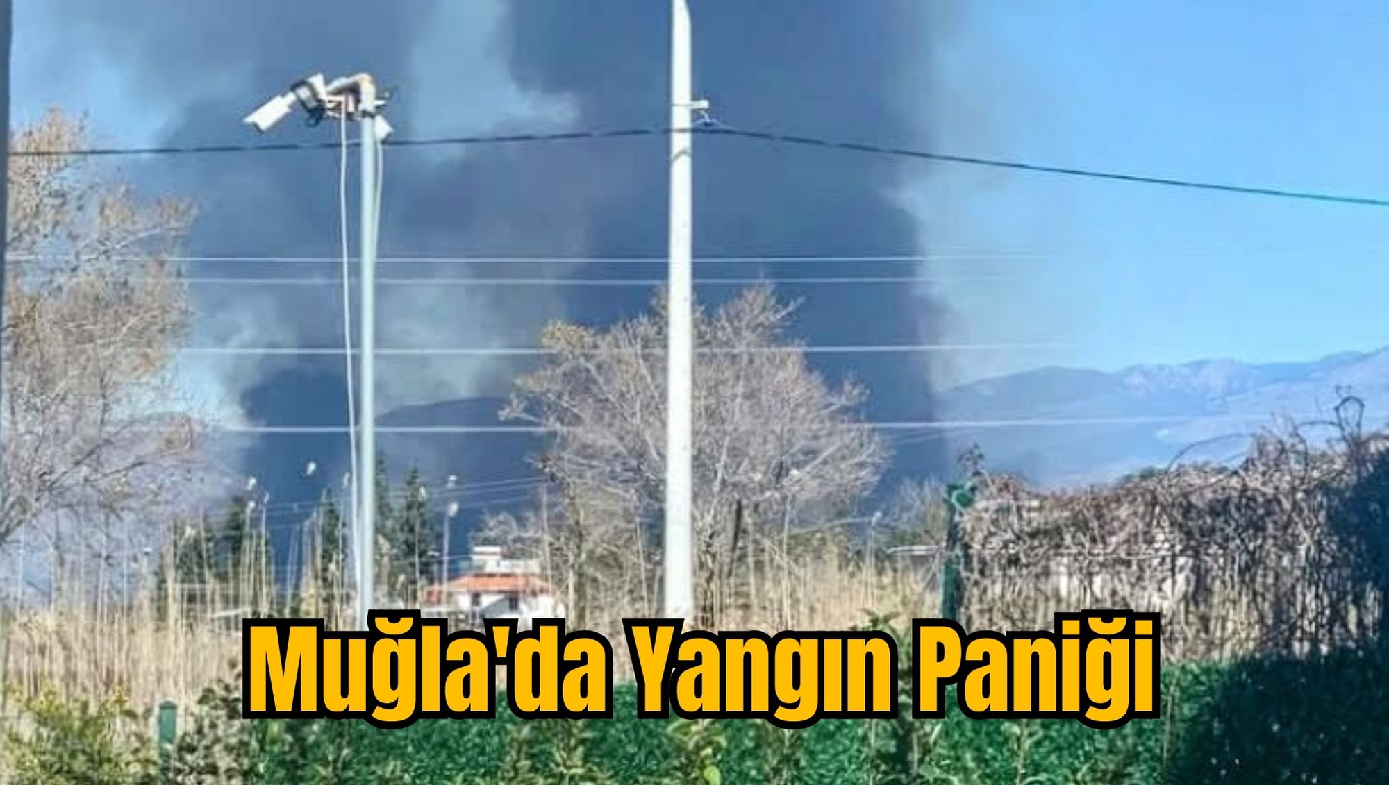 Muğla'da Yangın Paniği