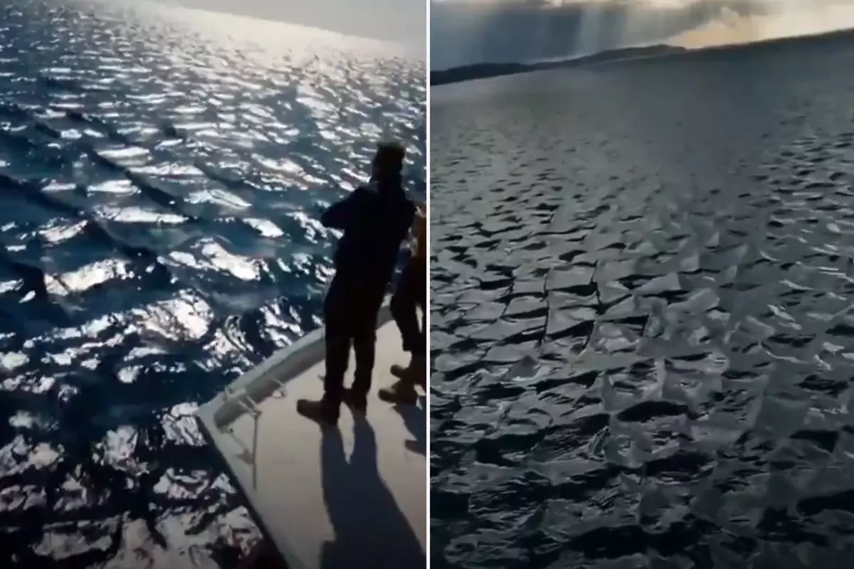 Ege Denizi'nde Kare Dalgalar Oluştu: Tsunami Uyarısı Gündemde