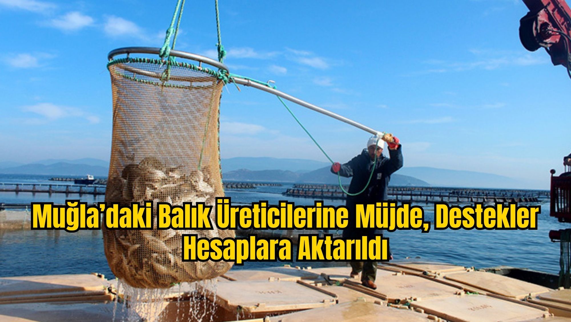 Muğla’daki Balık Üreticilerine Müjde, Destekler Hesaplara Aktarıldı