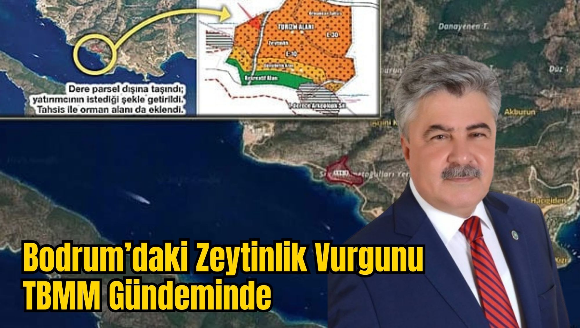 Bodrum’daki Zeytinlik Vurgunu TBMM Gündeminde