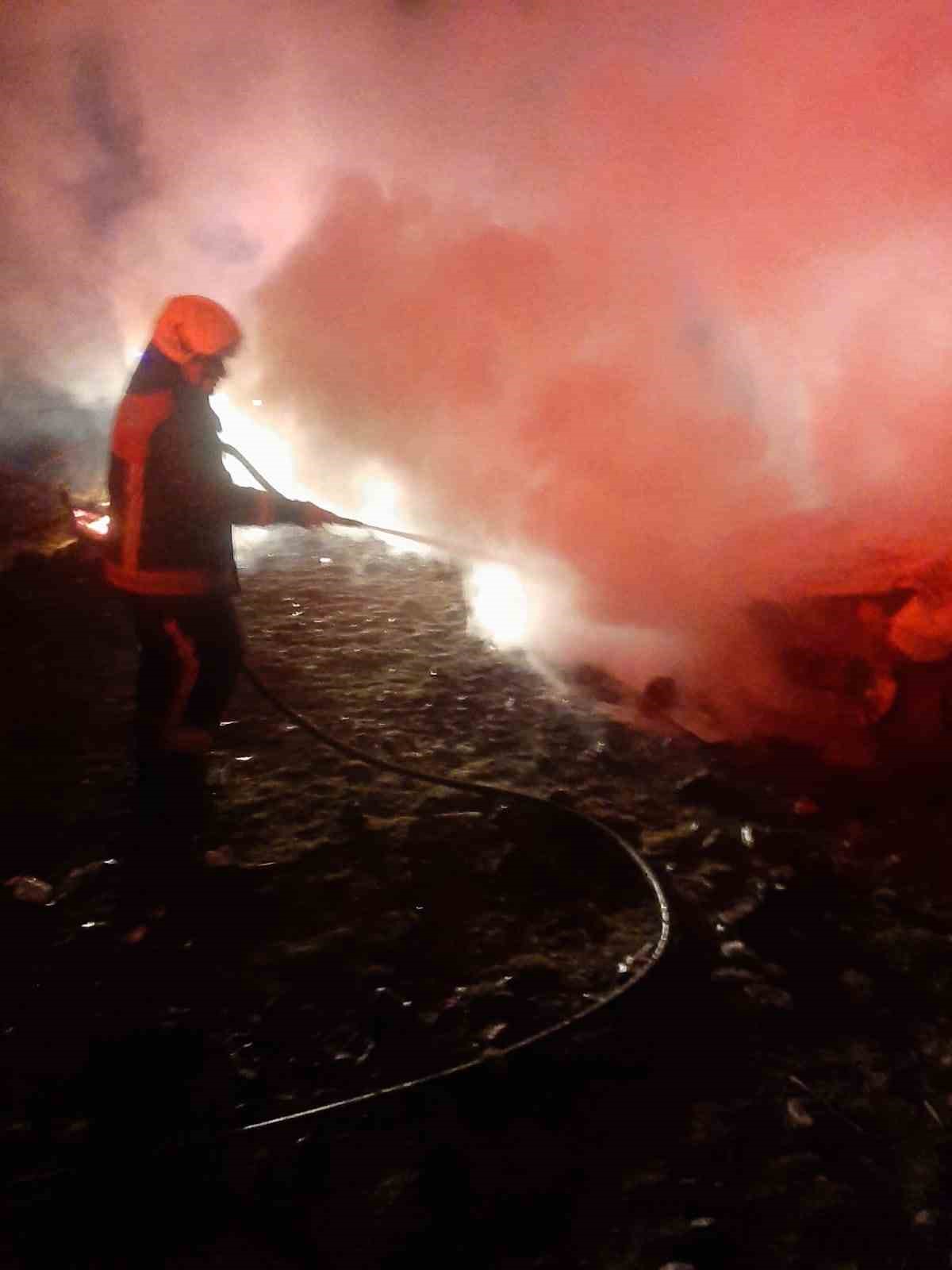 Piknik İçin Kiraladıkları Araç Alev Topuna Döndü