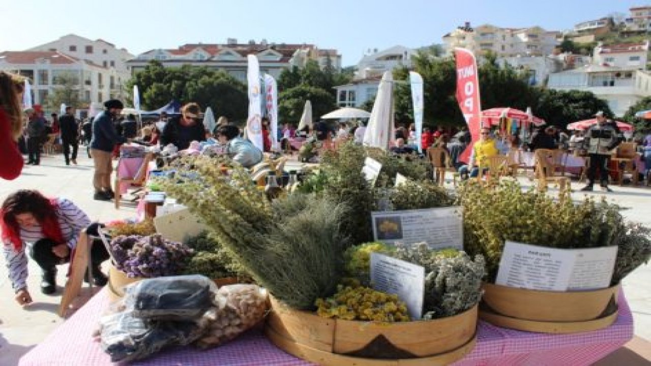 Karaca; “Gdo, Kısır Tohum Değil Yerel Tohum”