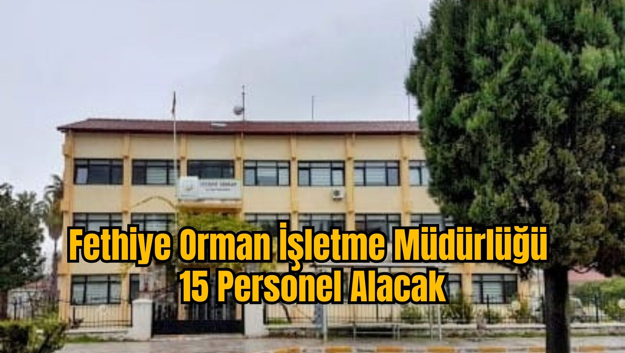 Fethiye Orman İşletme Müdürlüğü 15 Personel Alacak