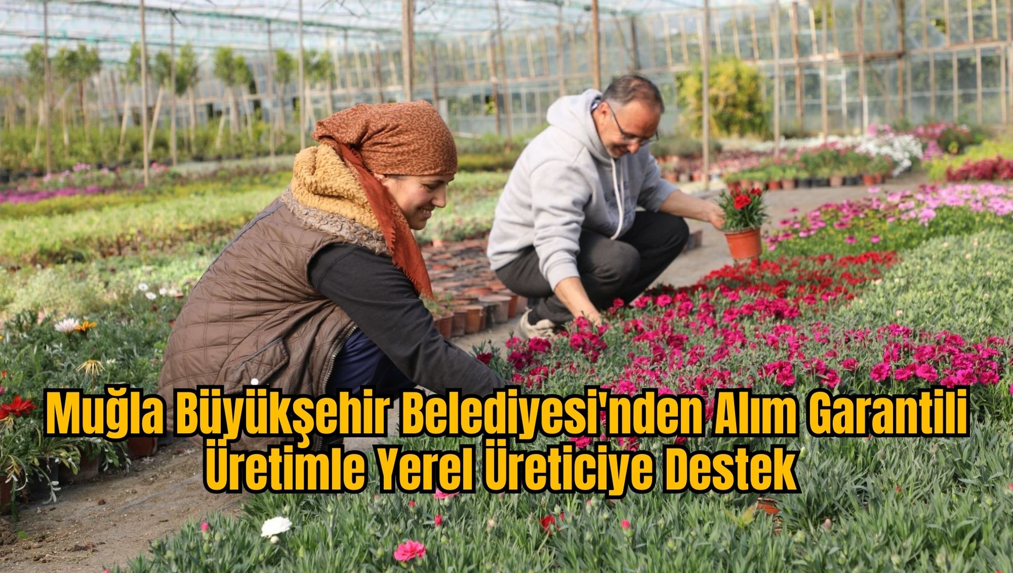 Muğla Büyükşehir Belediyesi'nden Alım Garantili Üretimle Yerel Üreticiye Destek