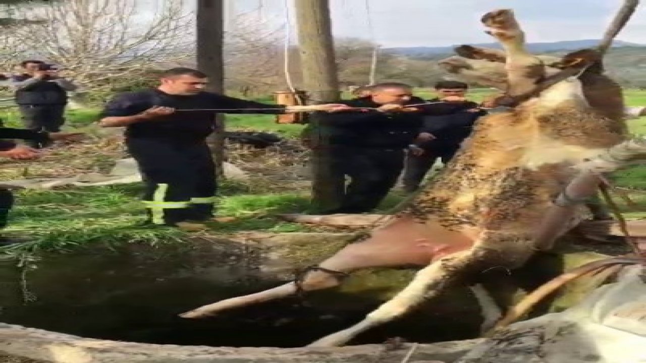 İtfaiye ekipleri zor anlar yaşadı