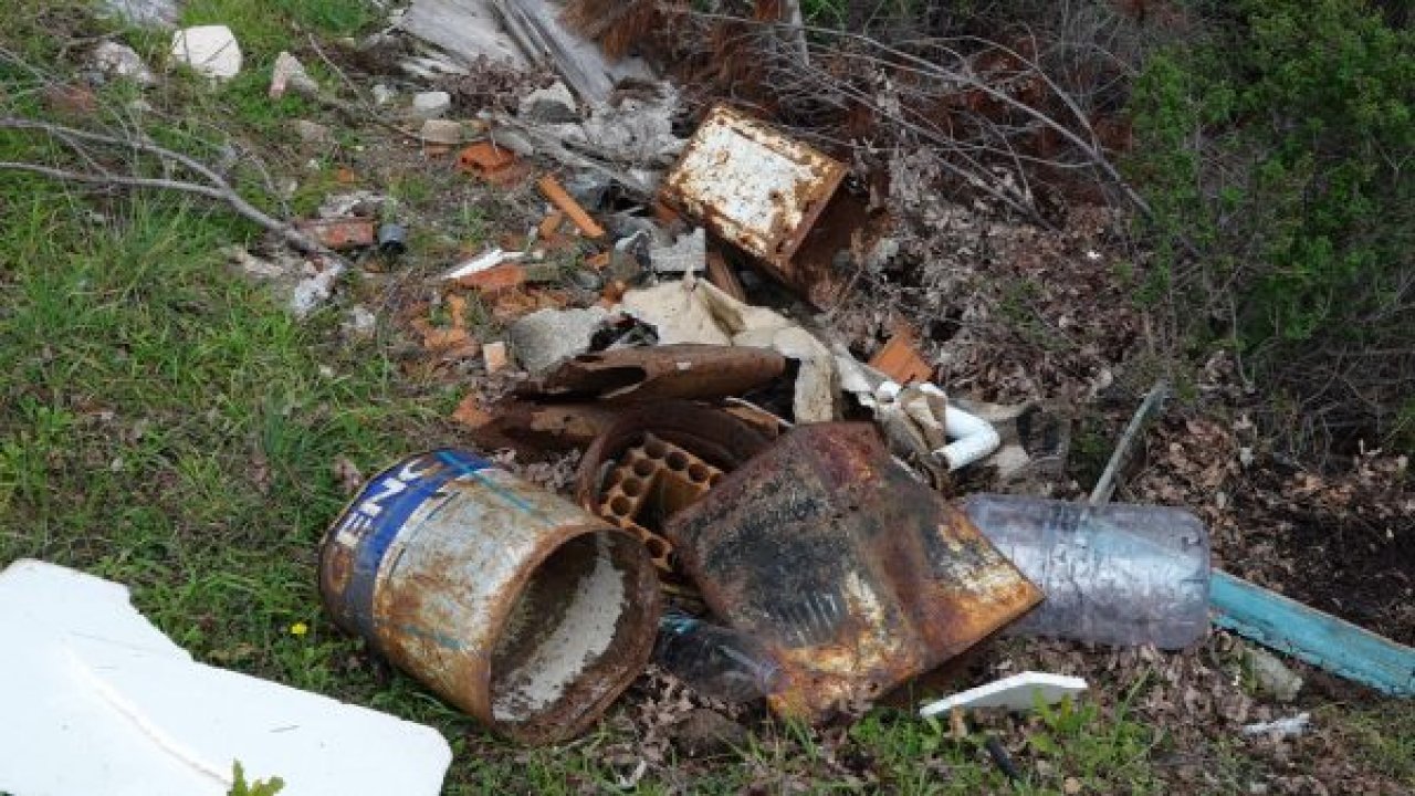 Duyarsız arıcılar ormanları çöplüğe çeviriyor