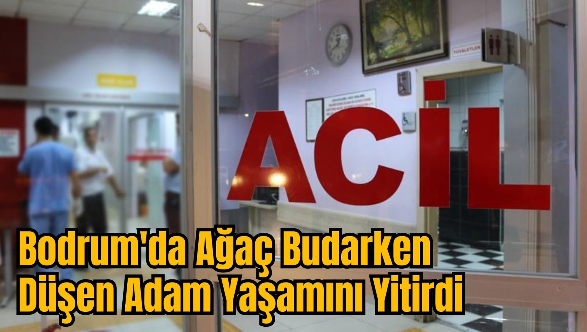 Bodrum'da Ağaç Budarken Düşen Adam Yaşamını Yitirdi