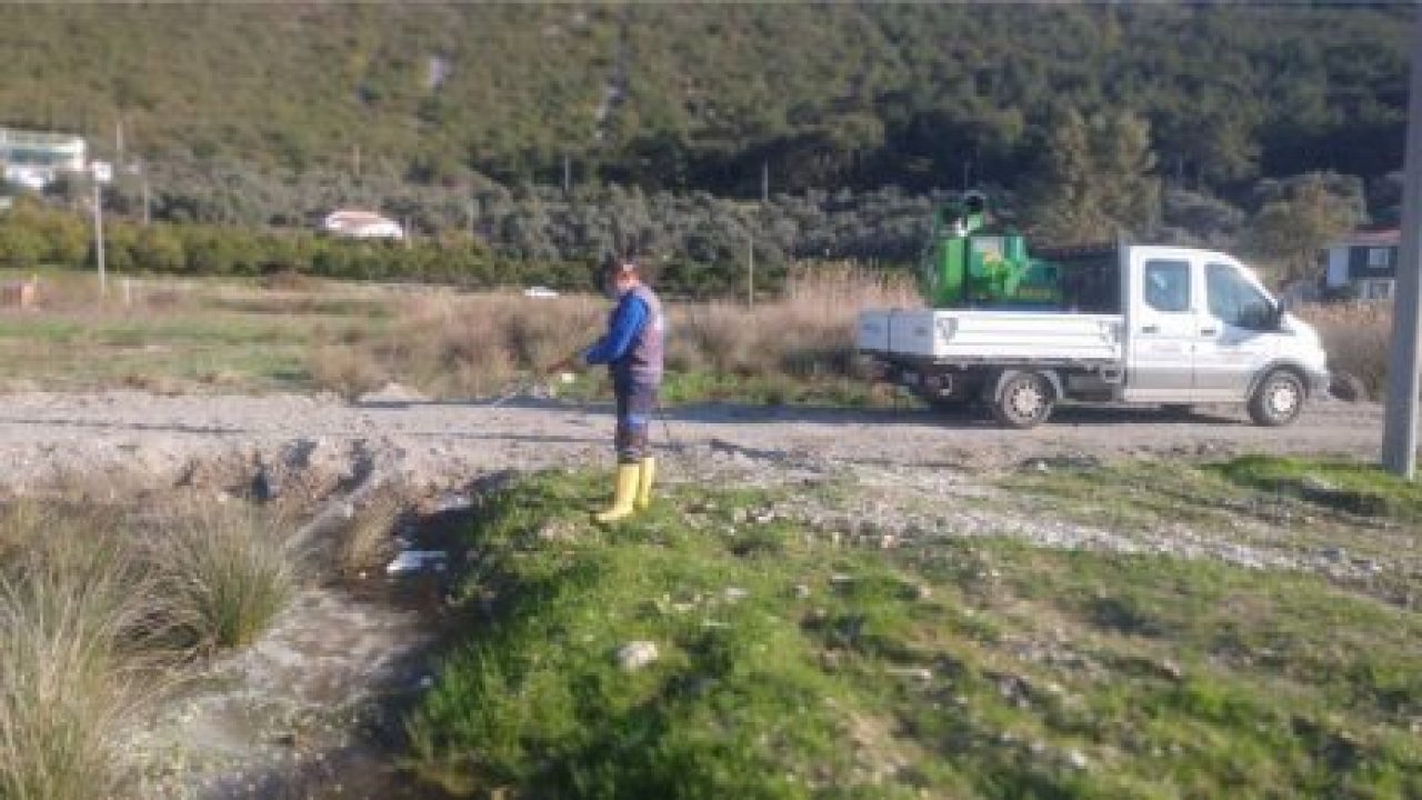 Mücadele çalışmalarına devam