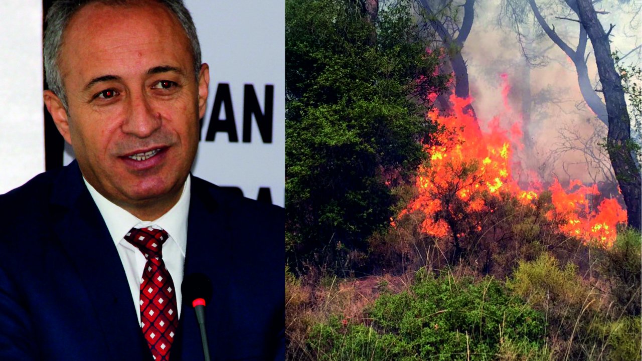 Muğla'da orman yangınlarının sebebi meçhul