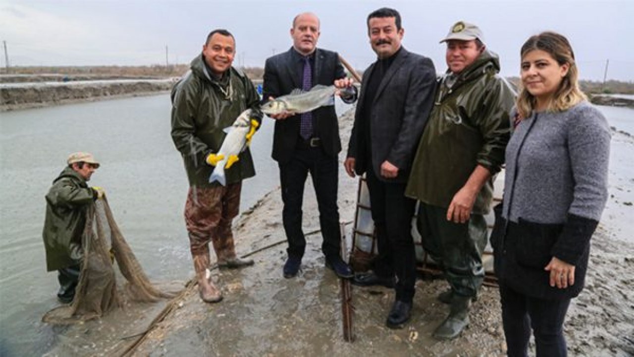 Milas’ta kültür balıkçılığı