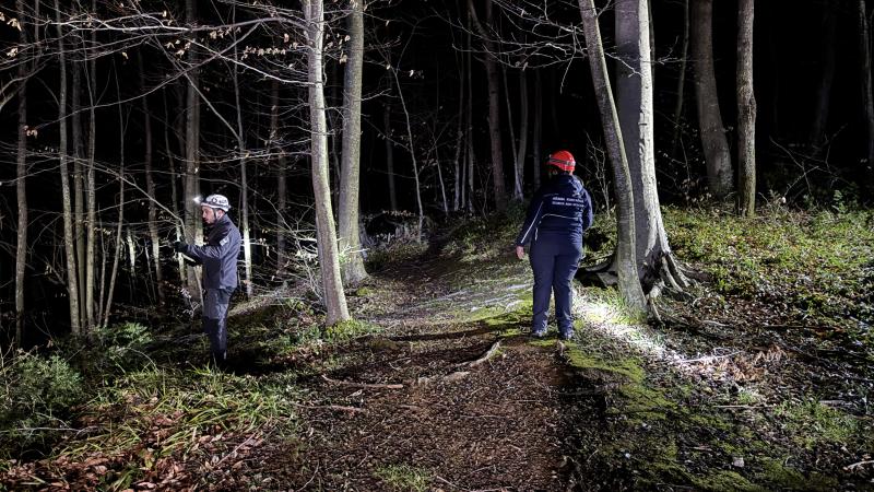 Ormana Gitti Bir Daha Dönmedi: Peyzaj Mimarı Kadın Her Yerde Aranıyor