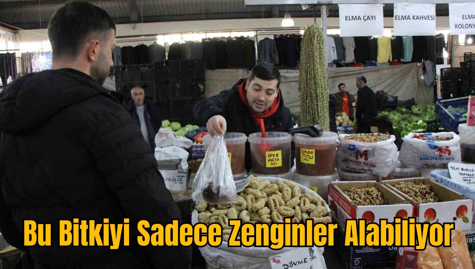 Bu Bitkiyi Sadece Zenginler Alabiliyor
