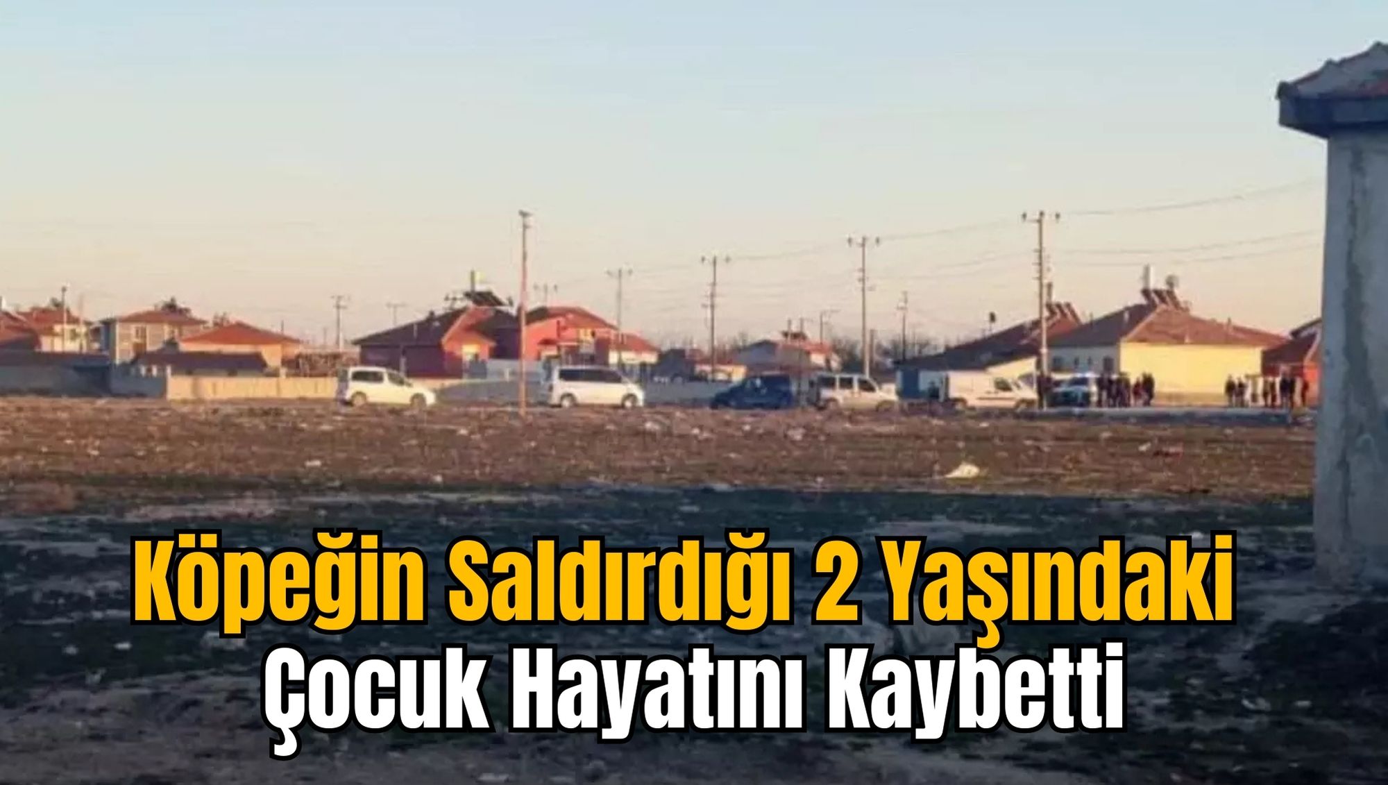 Köpeğin Saldırdığı 2 Yaşındaki Çocuk Hayatını Kaybetti