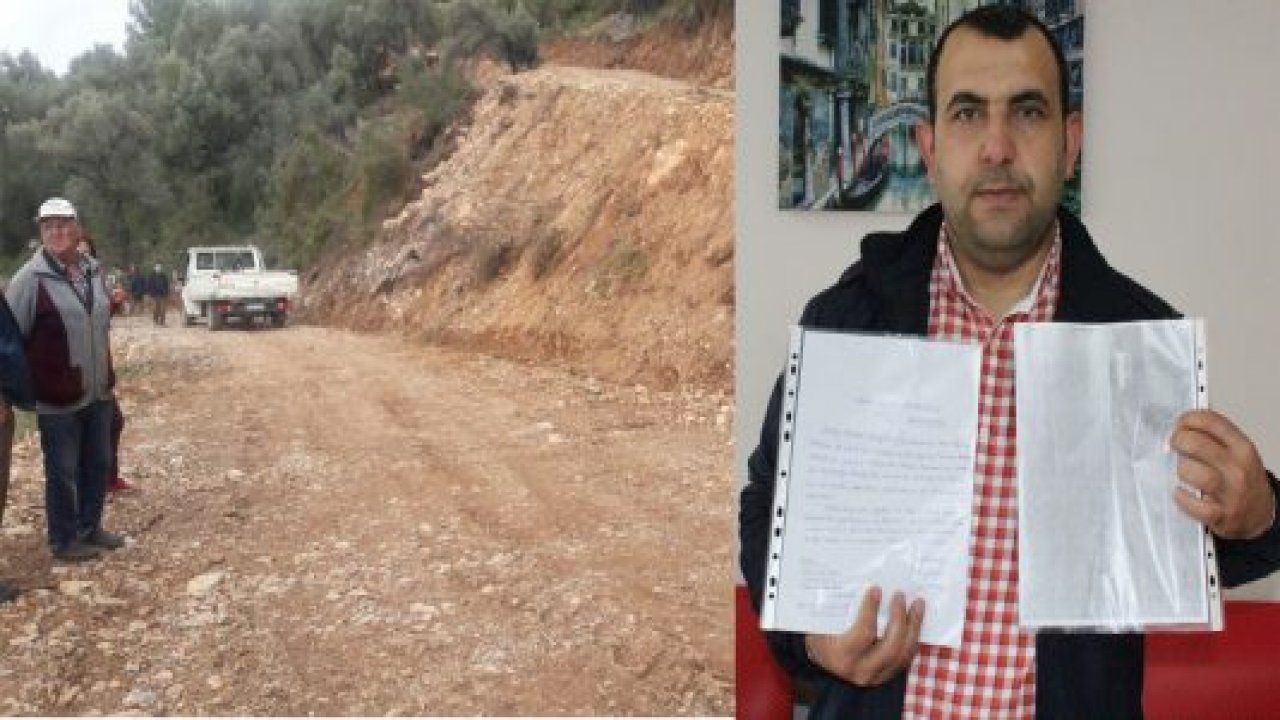 40 yıllık zeytin ağaçları kesildi