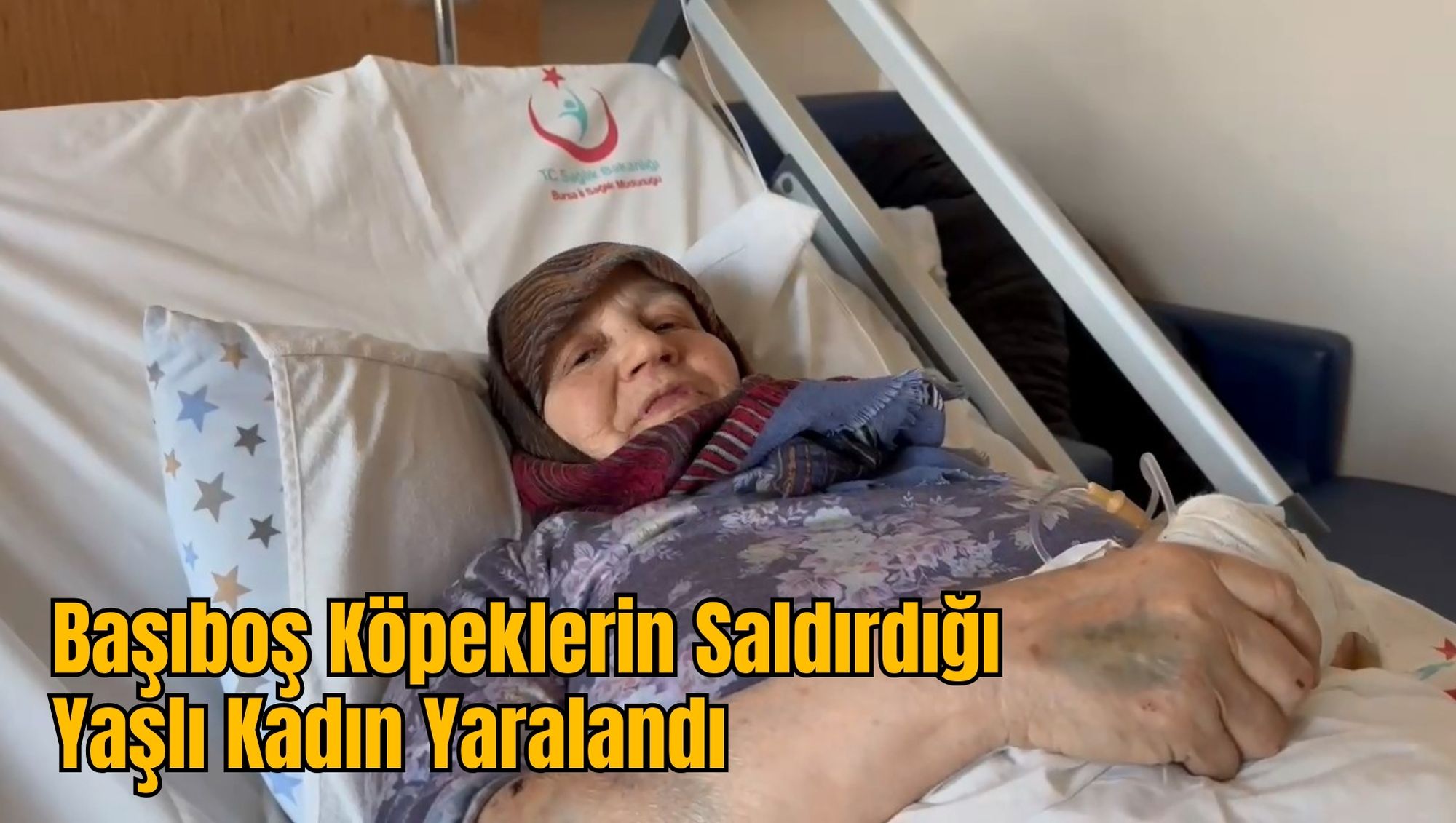 Başıboş Köpeklerin Saldırdığı Yaşlı Kadın Yaralandı