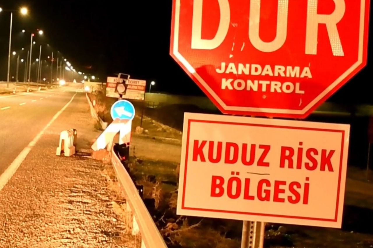 Kuduz Alarmı: O Belde 6 Ay Karantinaya Alındı