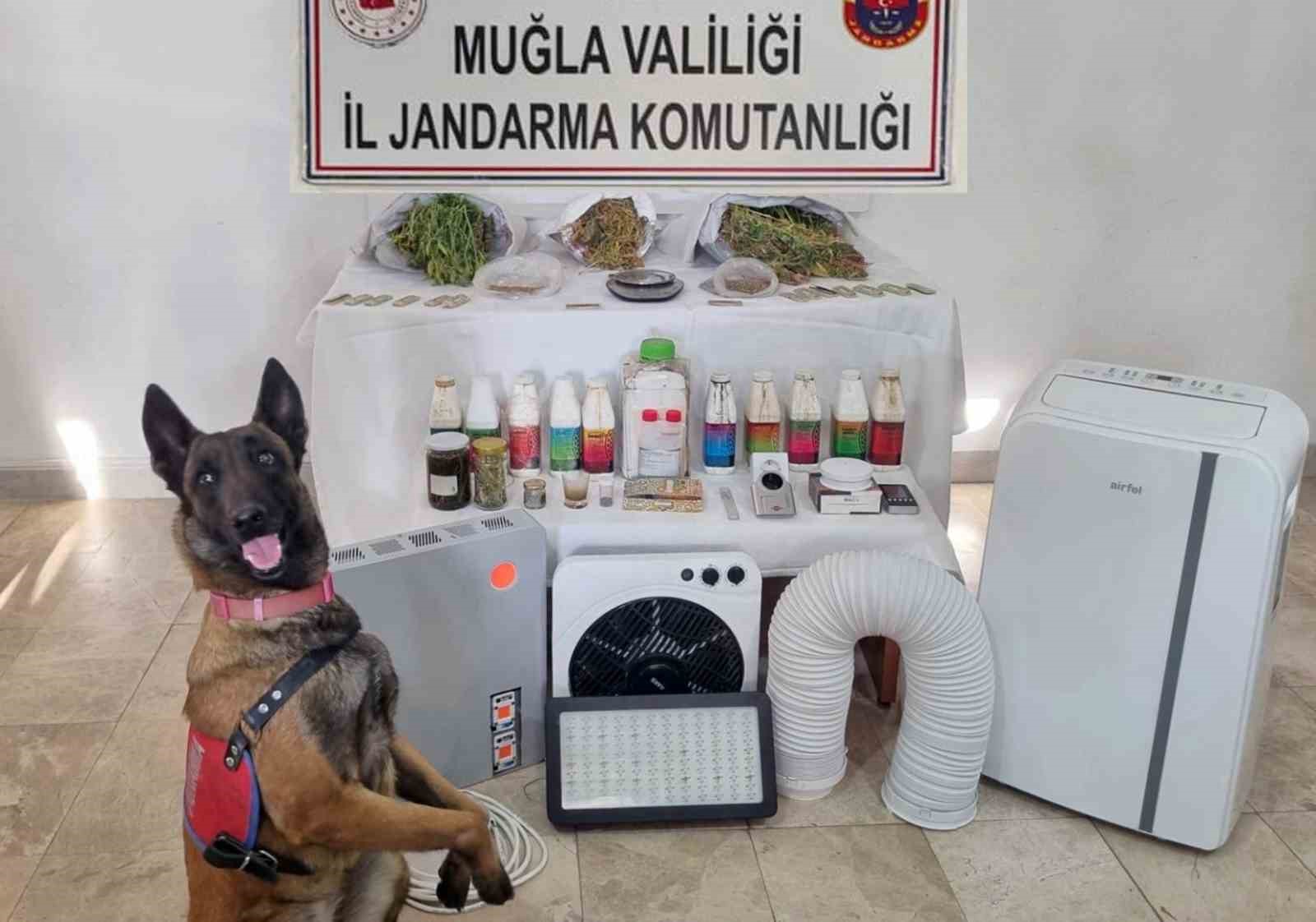 Ula'da Uyuşturucu Operasyonu