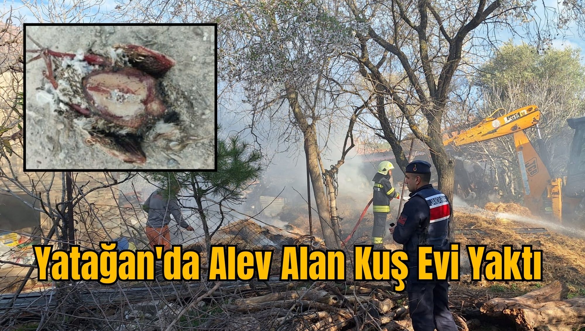 Yatağan'da Alev Alan Kuş Evi Yaktı