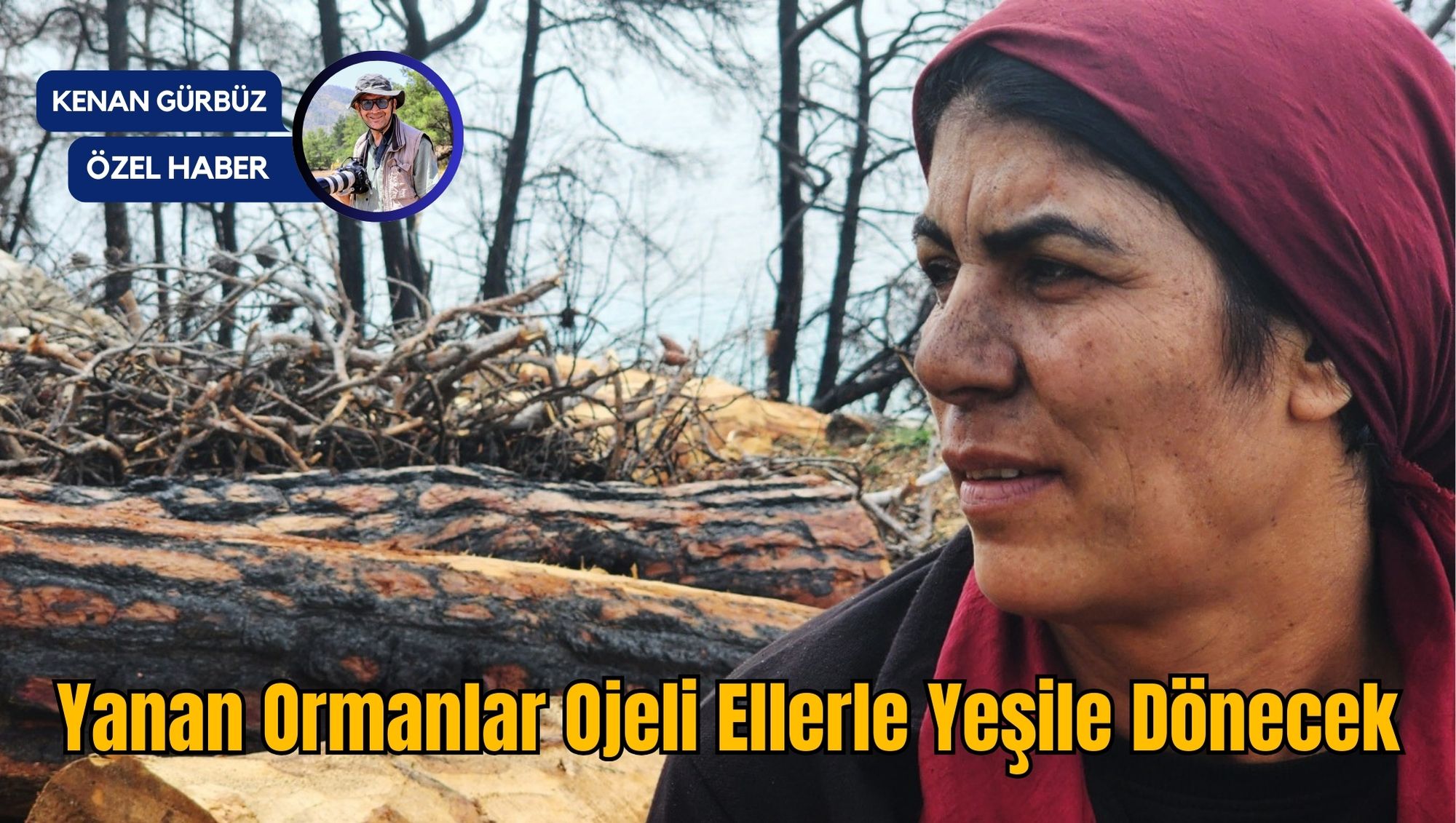 Yanan Ormanlar Ojeli Ellerle Yeşile Dönecek