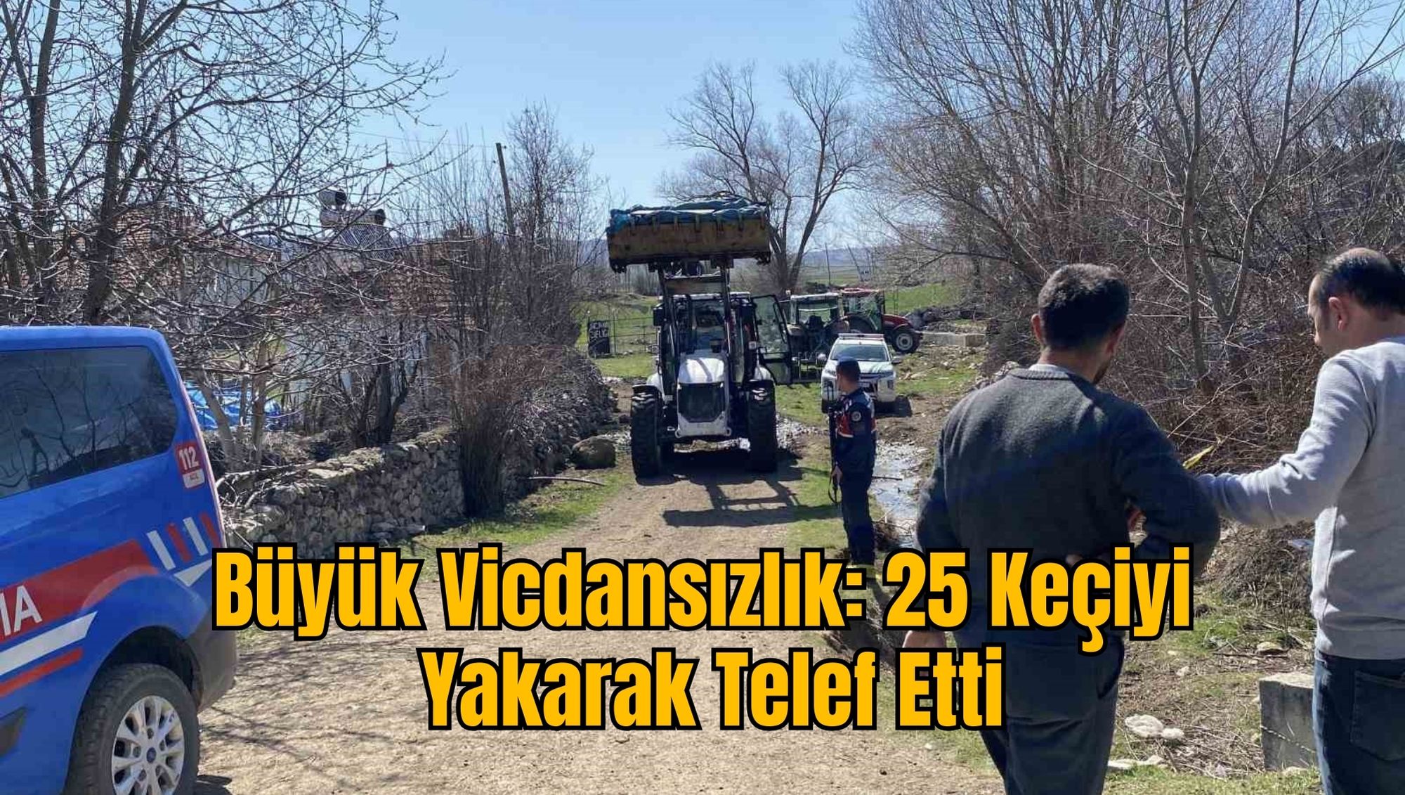 Büyük Vicdansızlık: 25 Keçiyi Yakarak Telef Etti