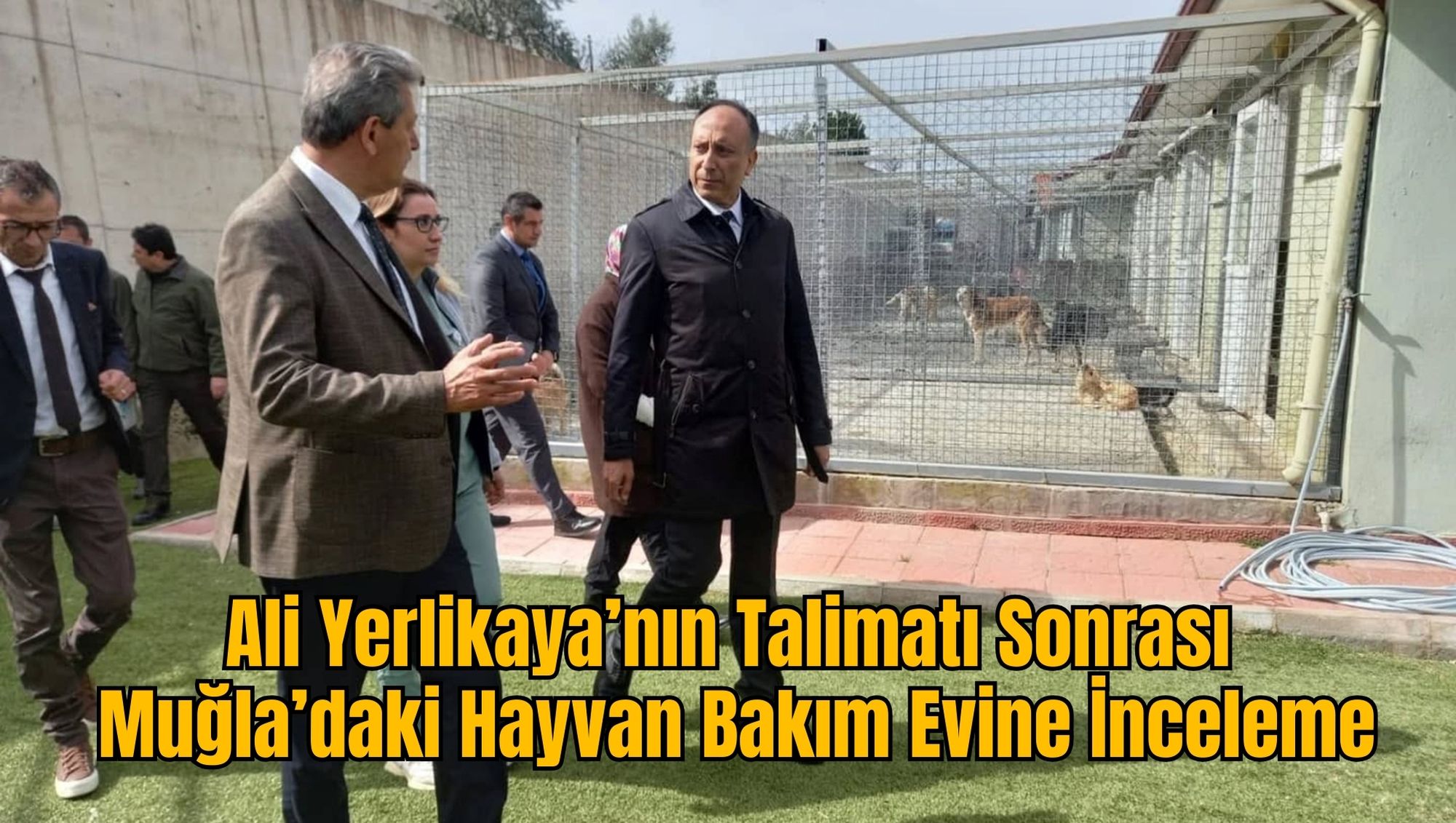 Ali Yerlikaya’nın Talimatı Sonrası Muğla’daki Hayvan Bakım Evine İnceleme