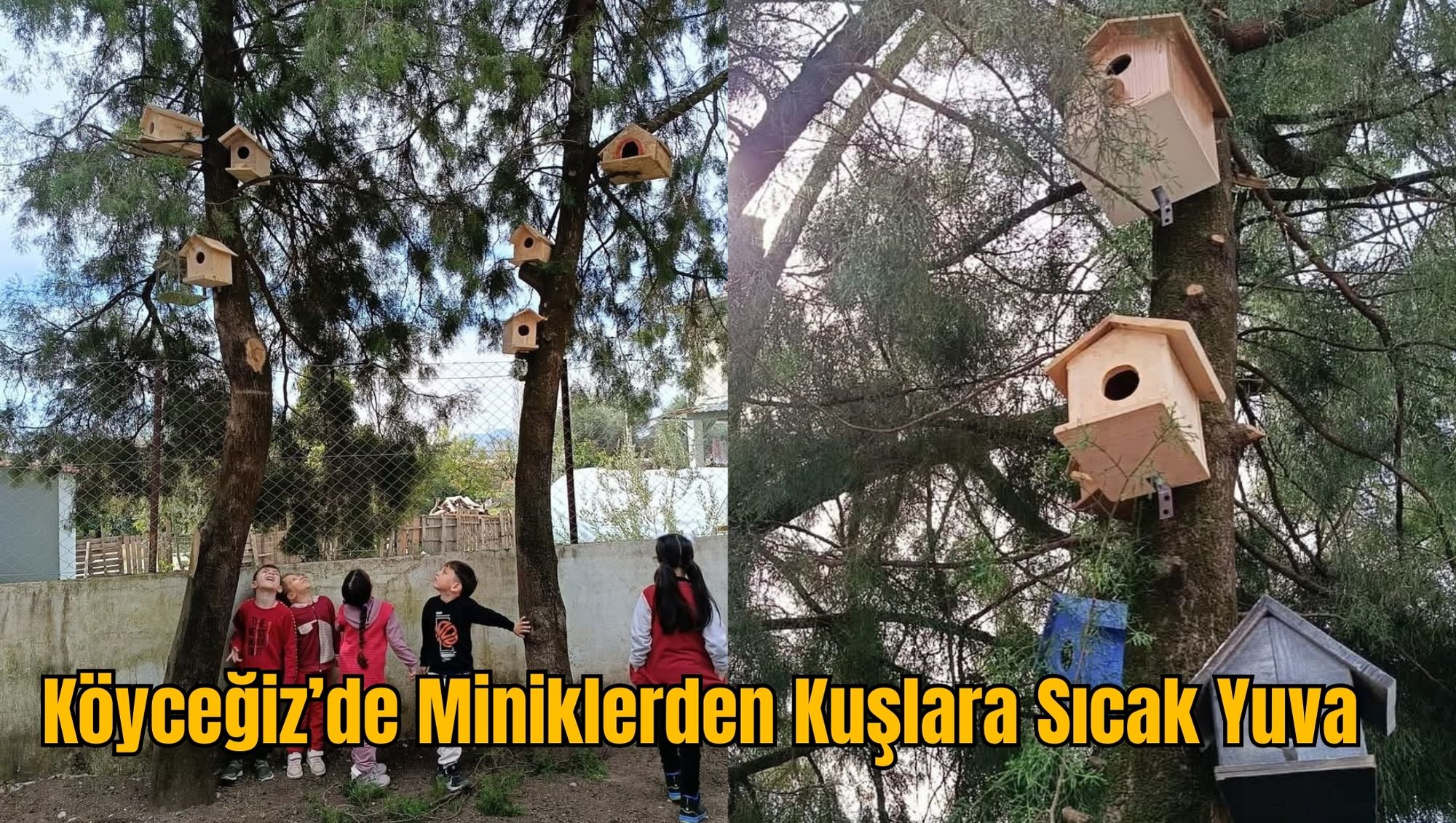 Köyceğiz’de Miniklerden Kuşlara Sıcak Yuva