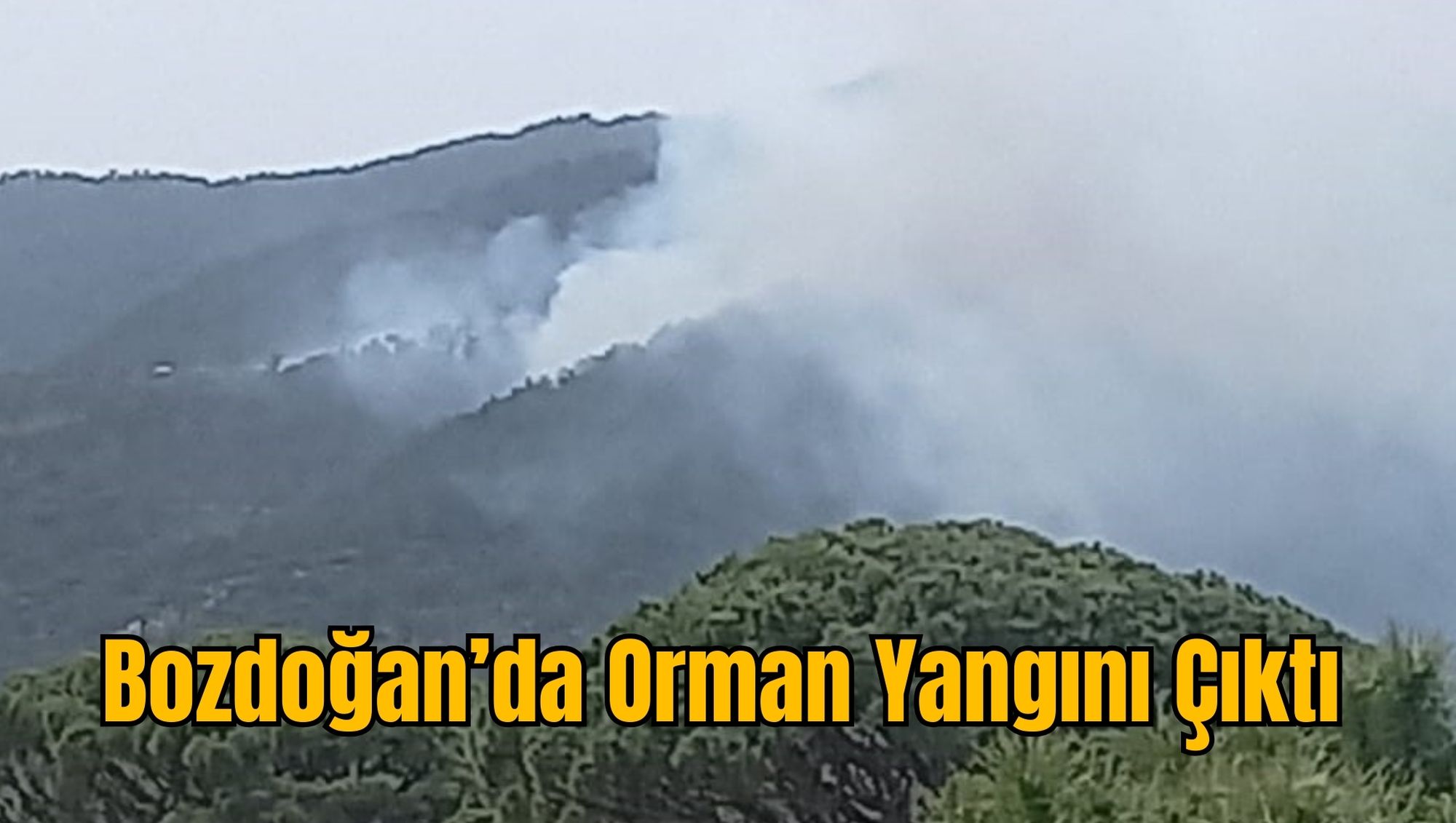 Bozdoğan’da Orman Yangını Çıktı