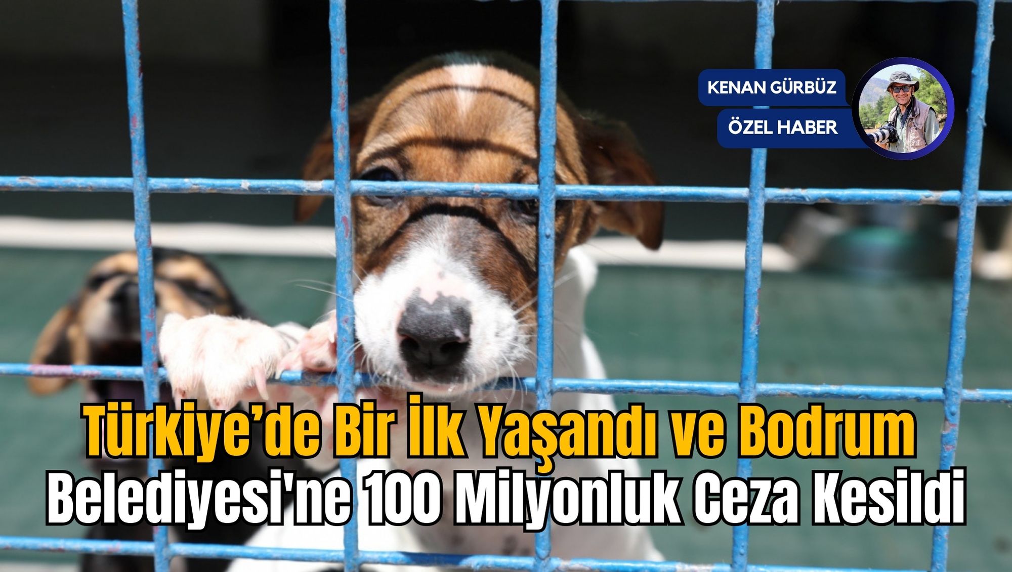 Türkiye’de Bir İlk Yaşandı ve Bodrum Belediyesine 100 Milyonluk Ceza Kesildi