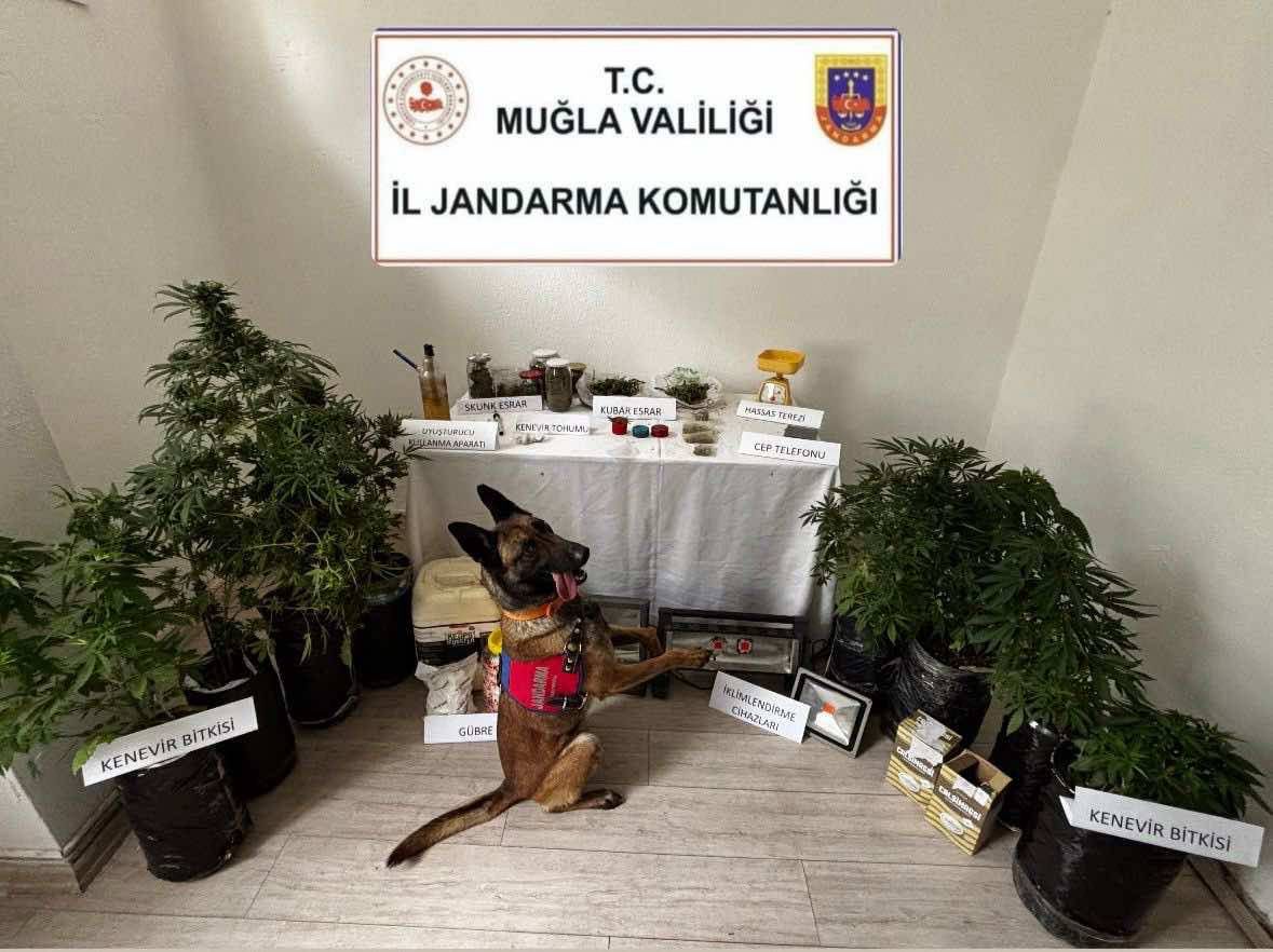 Marmaris'te Yasaklı Madde Operasyonu