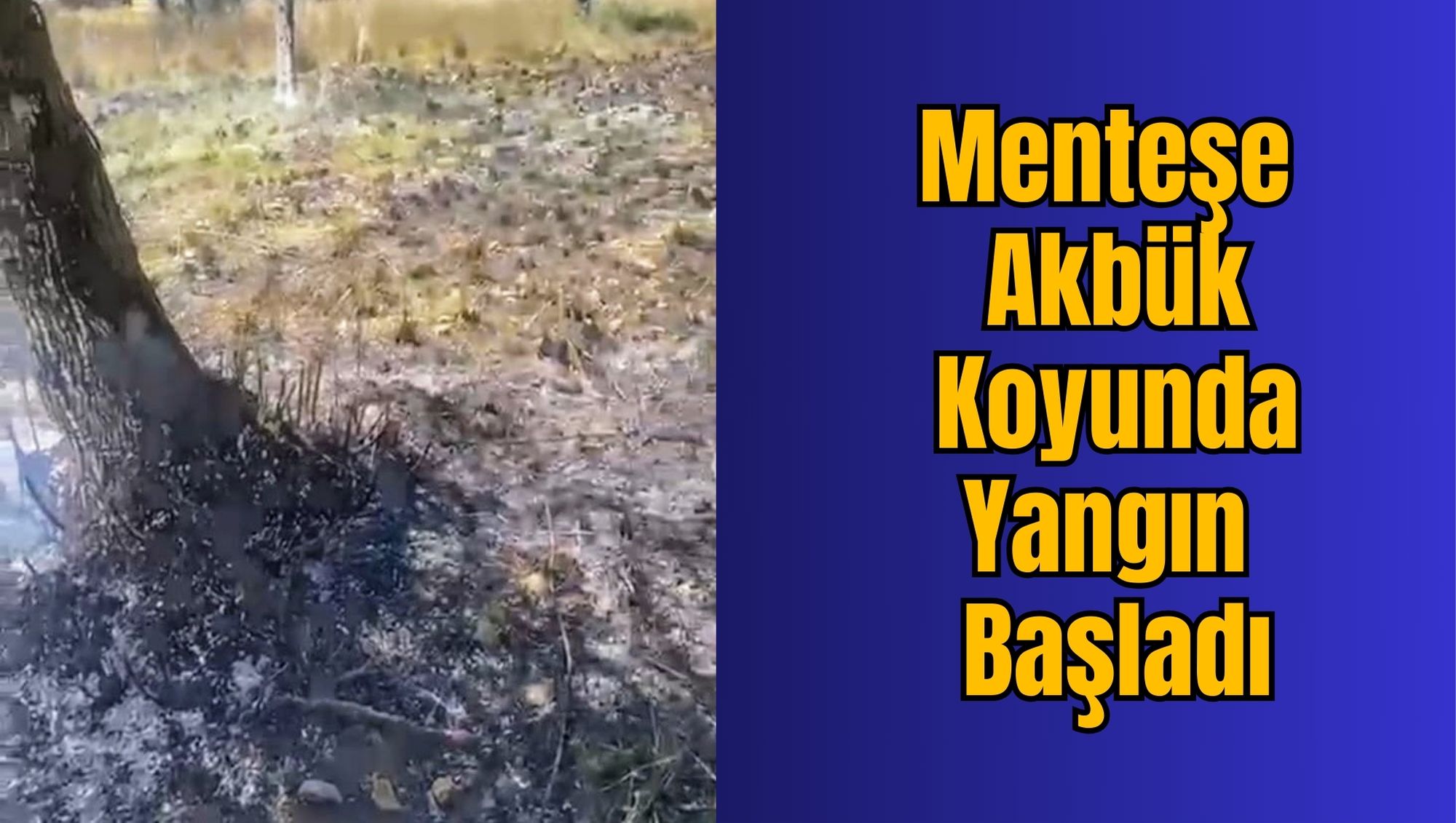 Menteşe Akbük Koyunda Yangın Başladı
