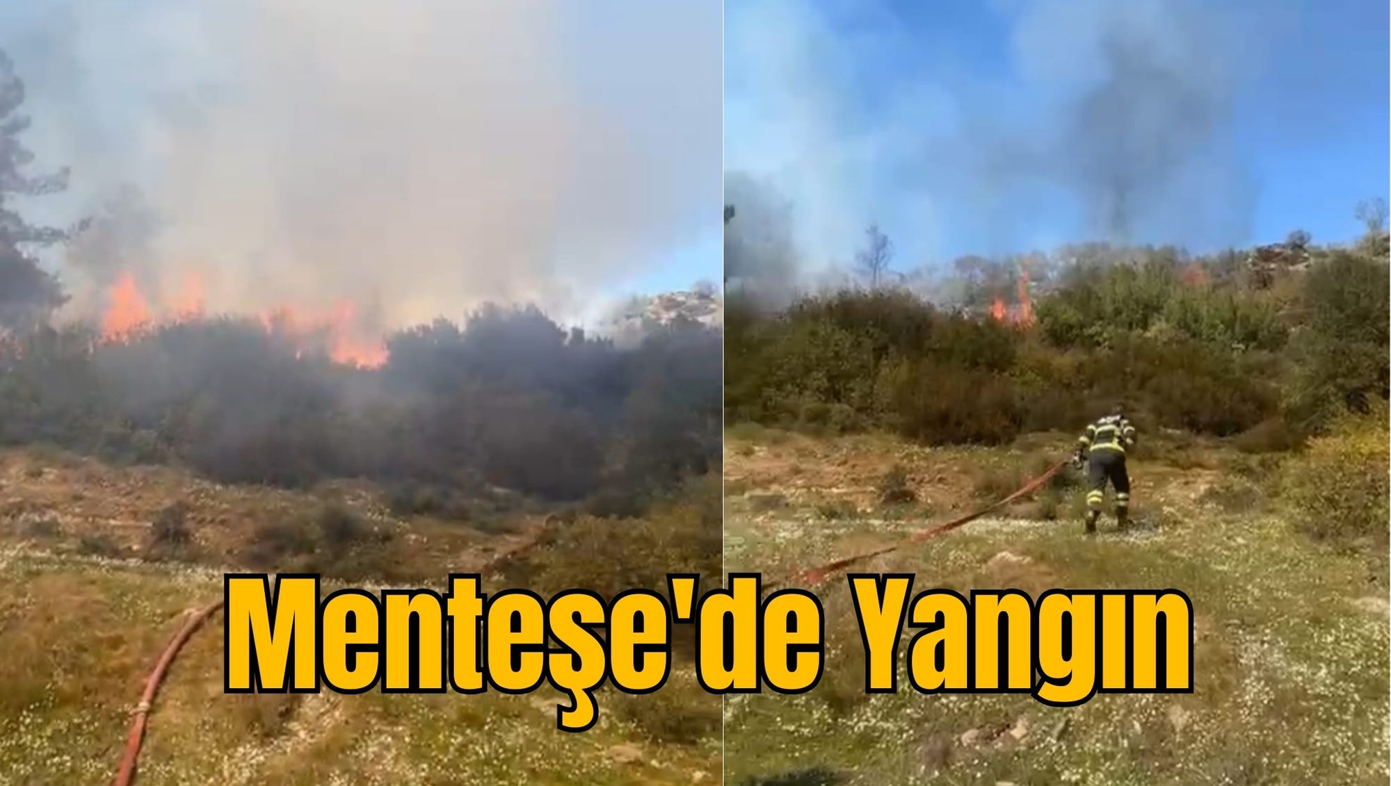 Menteşe'de Yangın