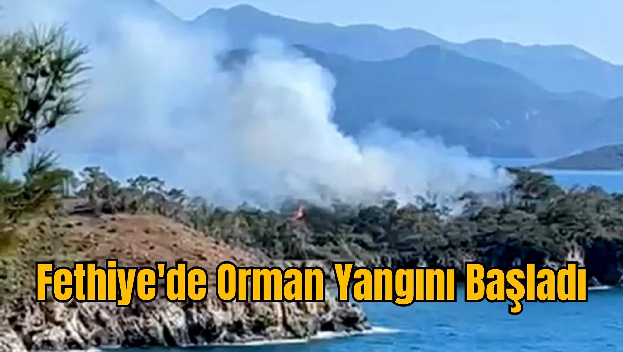 Fethiye'de Orman Yangını Başladı